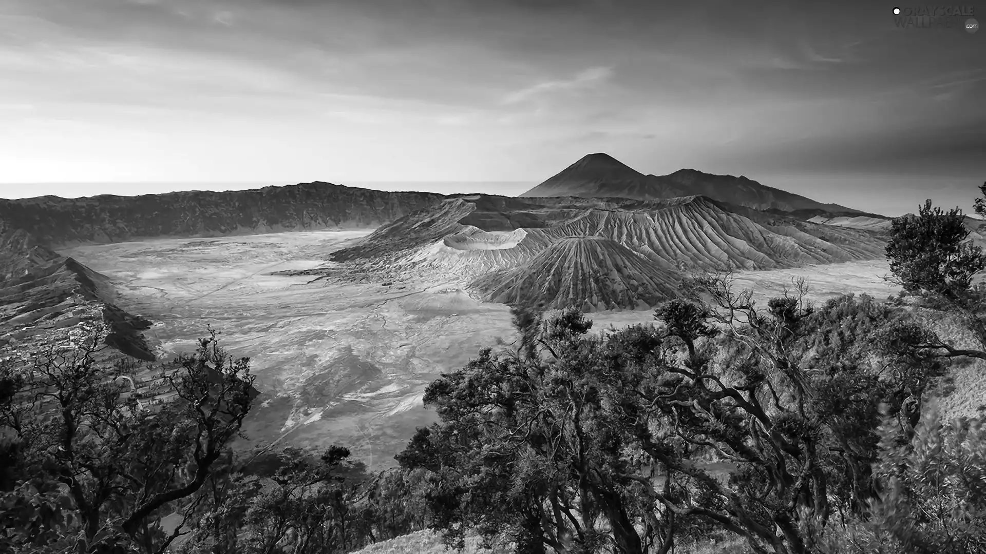 viewes, indonesia, Bromo, trees, mountains