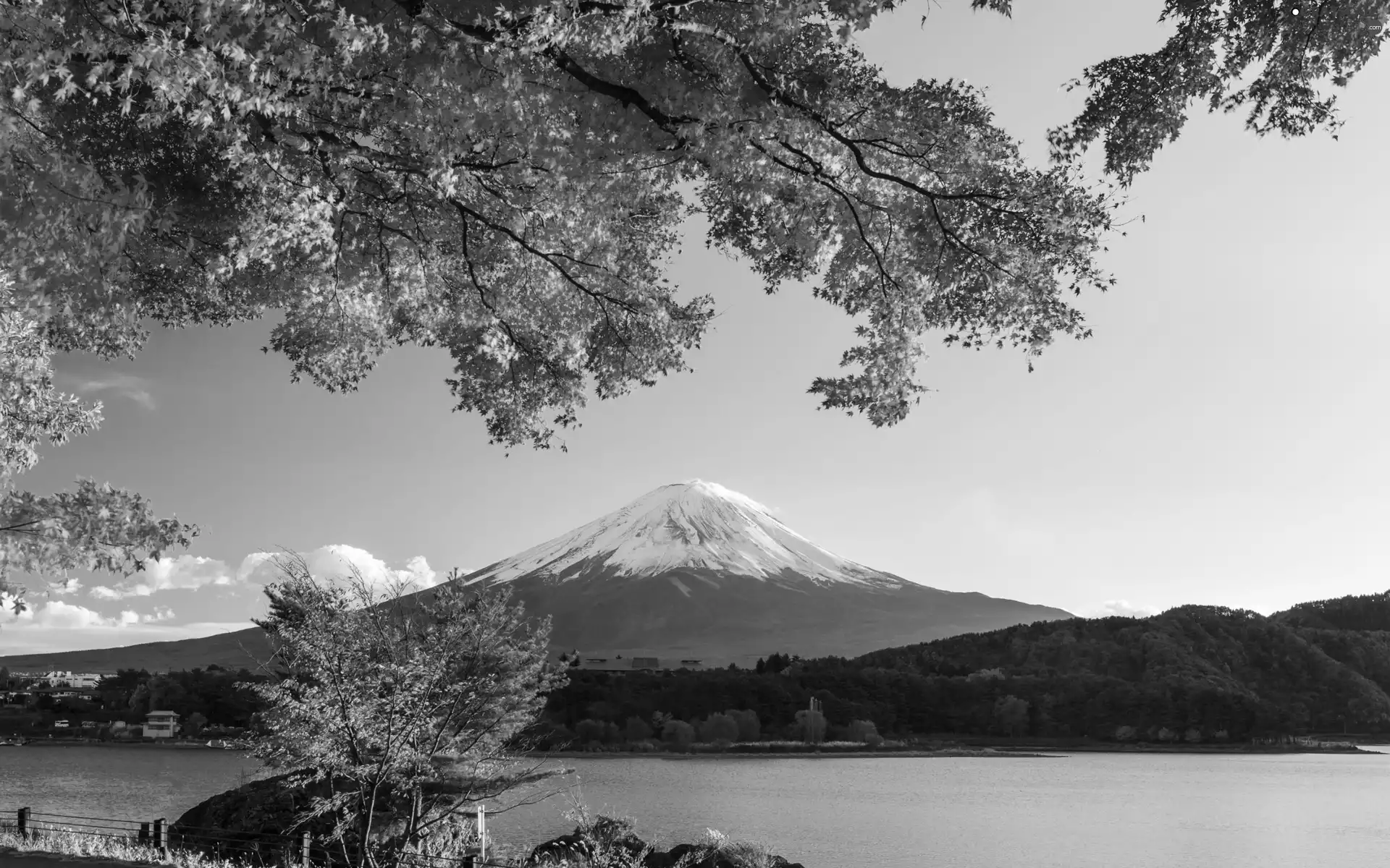 woods, Fuji, viewes, Japan, trees, lake