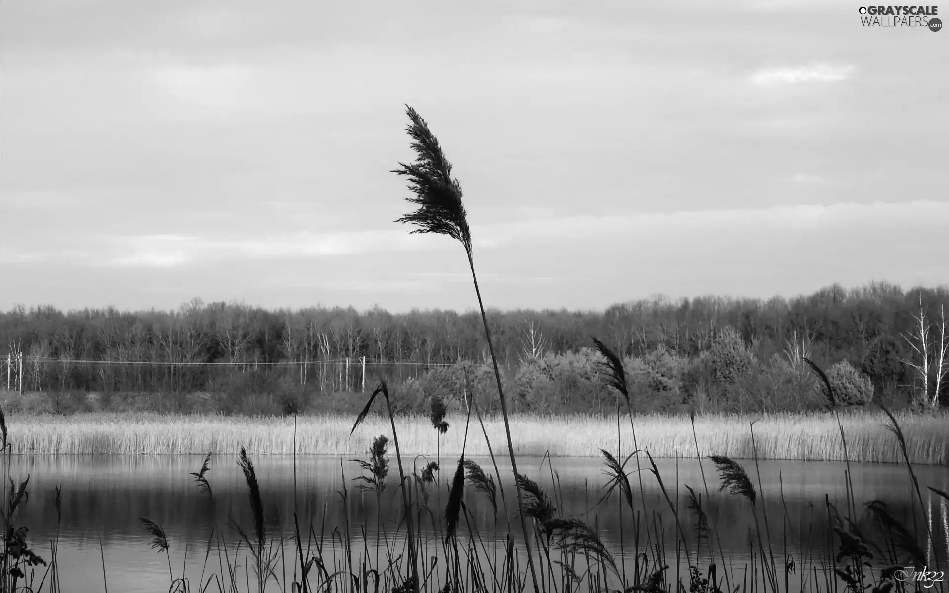 lake, trees, viewes, Cane