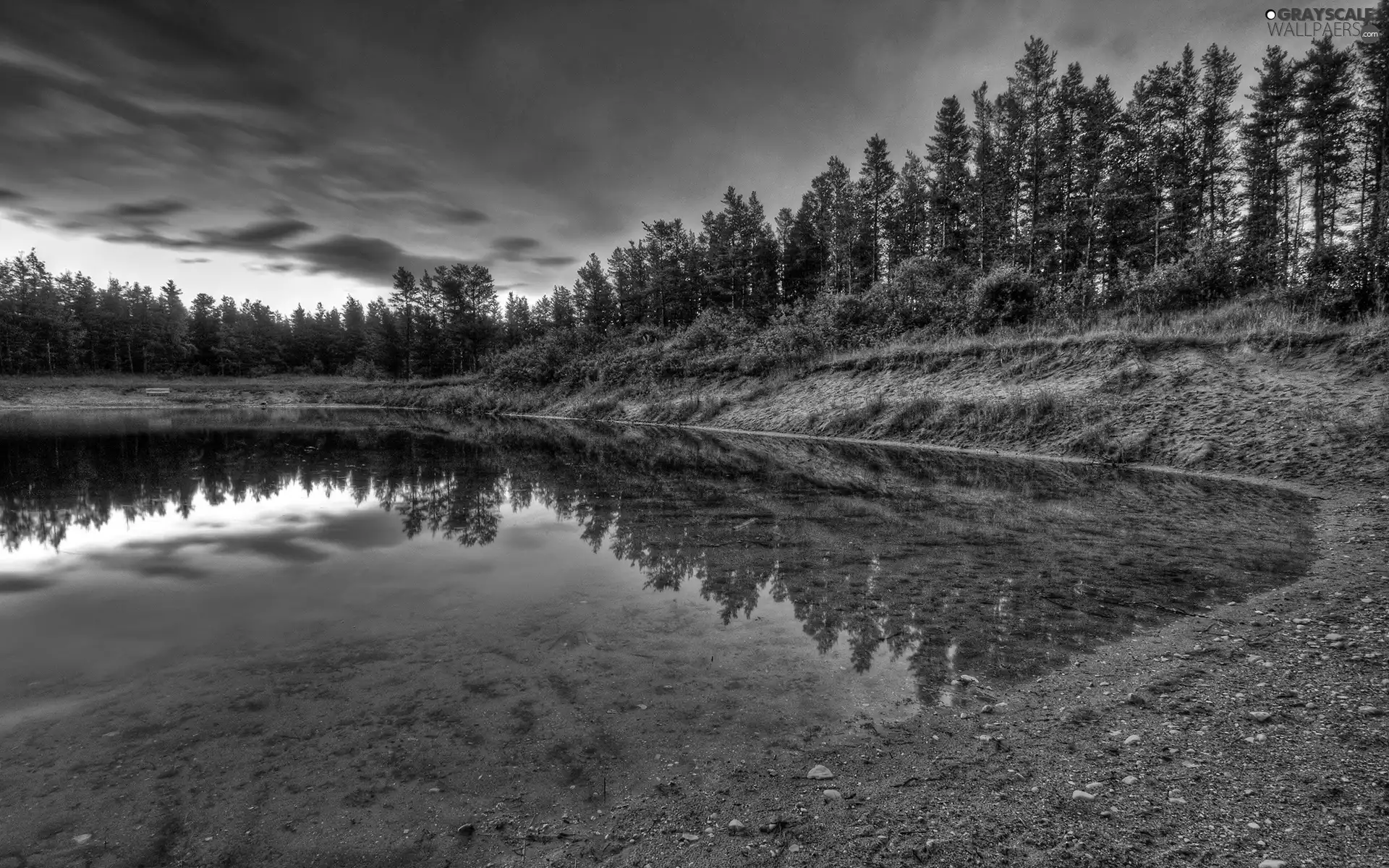 lake, trees, viewes, coast