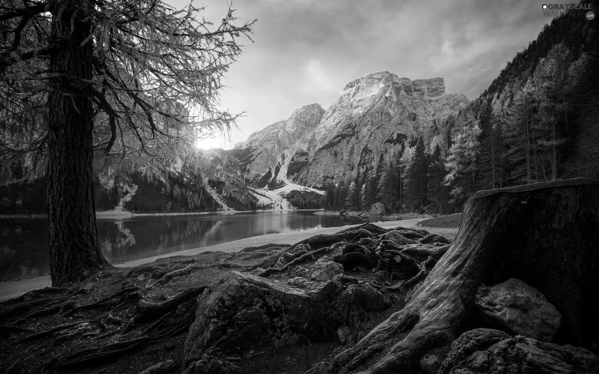 forest, Mountains, trees, viewes, Yellowed, lake