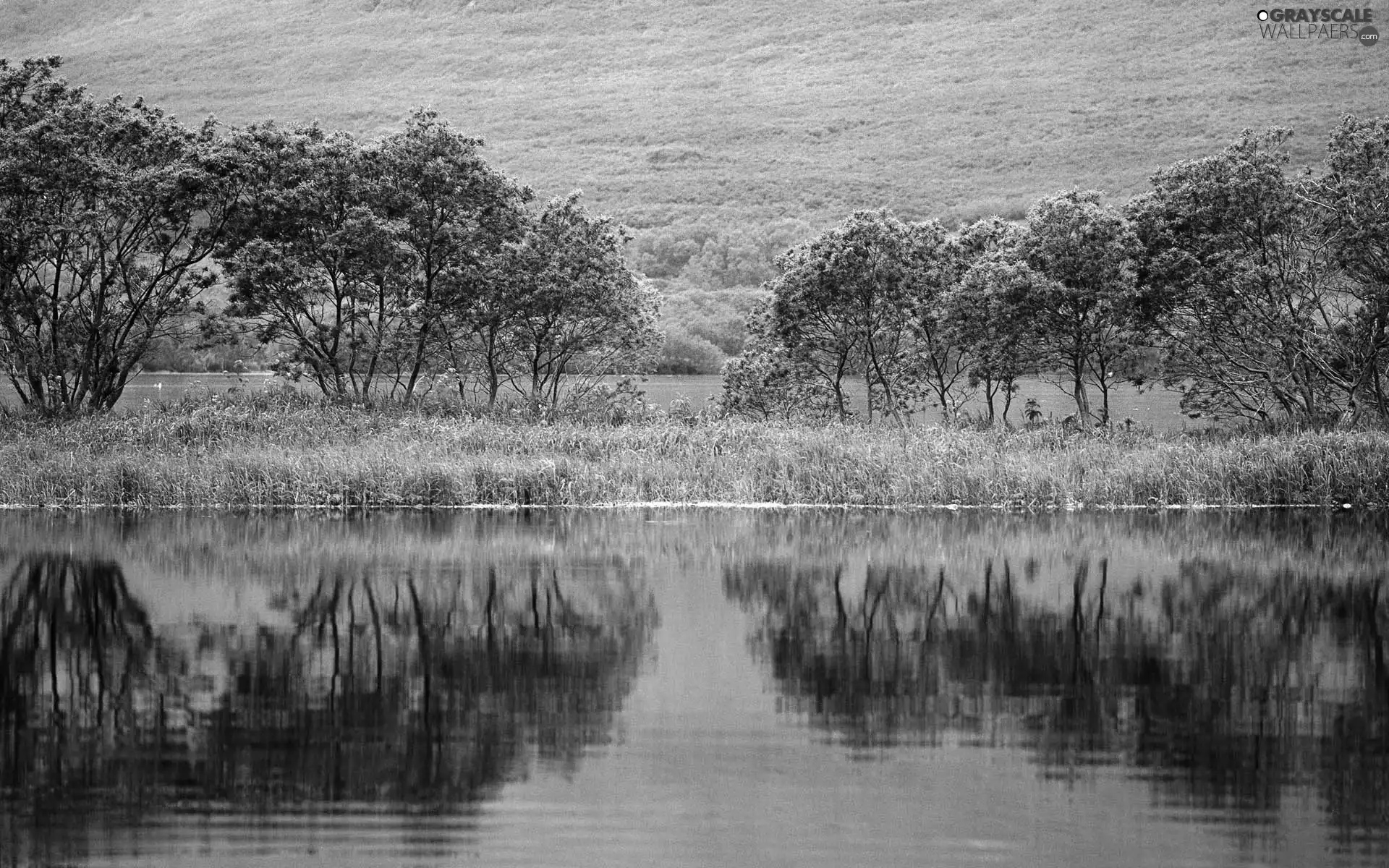 lake, trees, viewes, grass