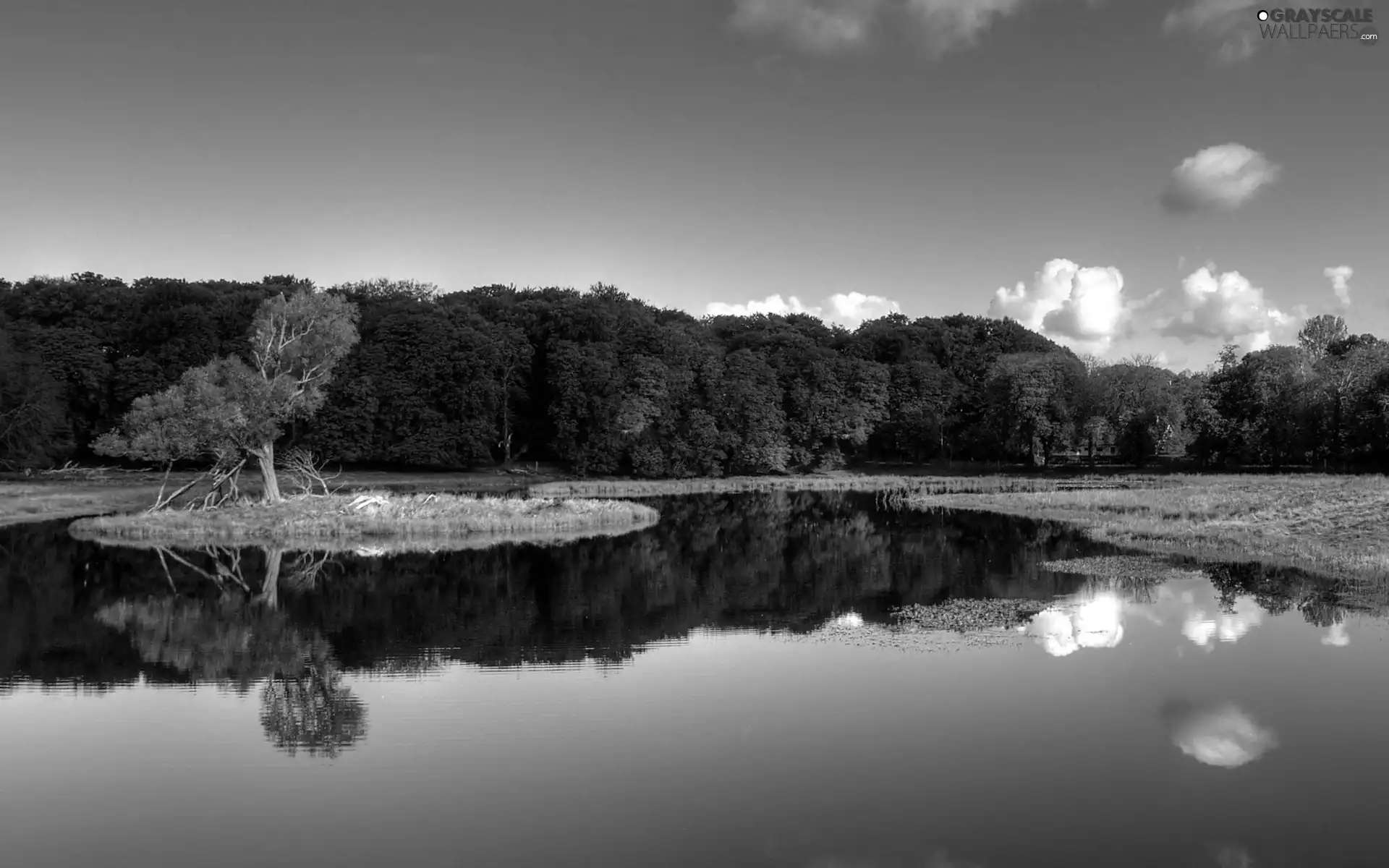 lake, trees, viewes, Islet