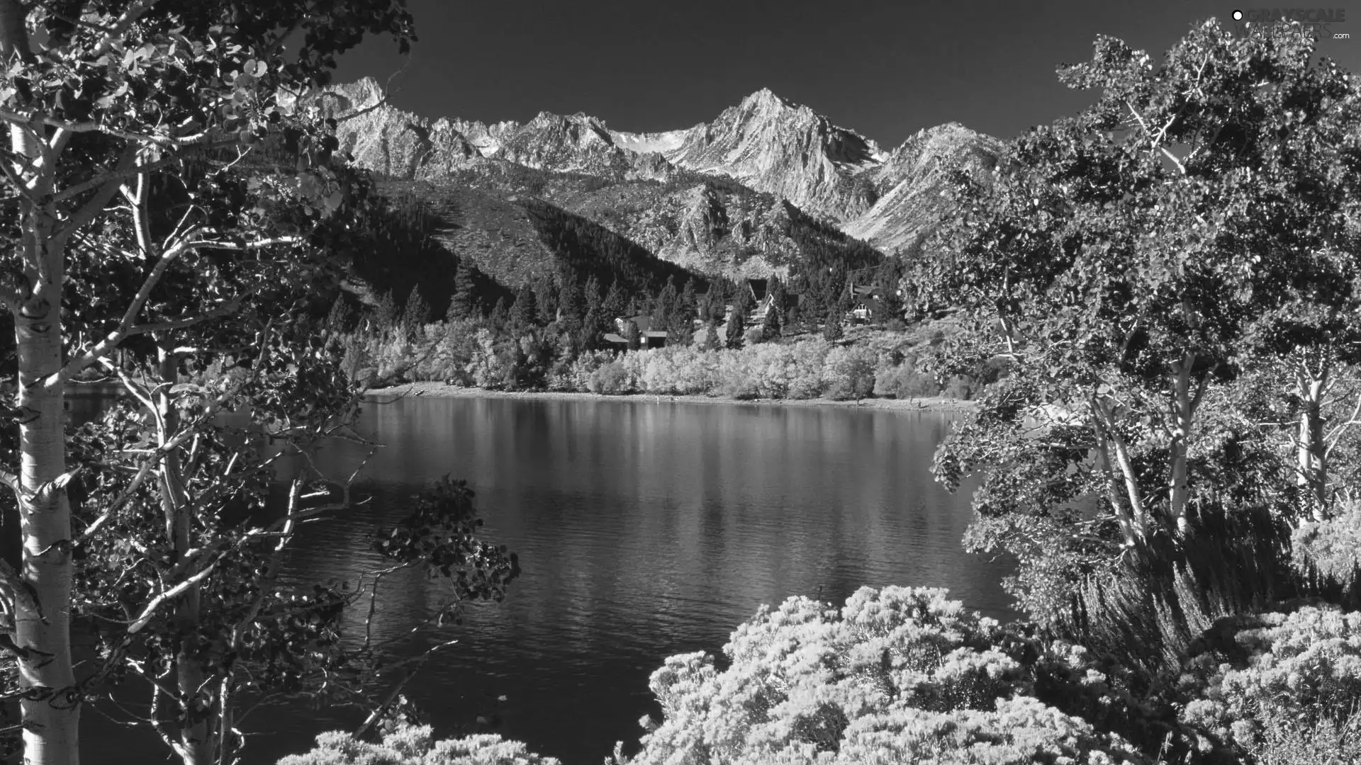 lake, trees, viewes, Mountains