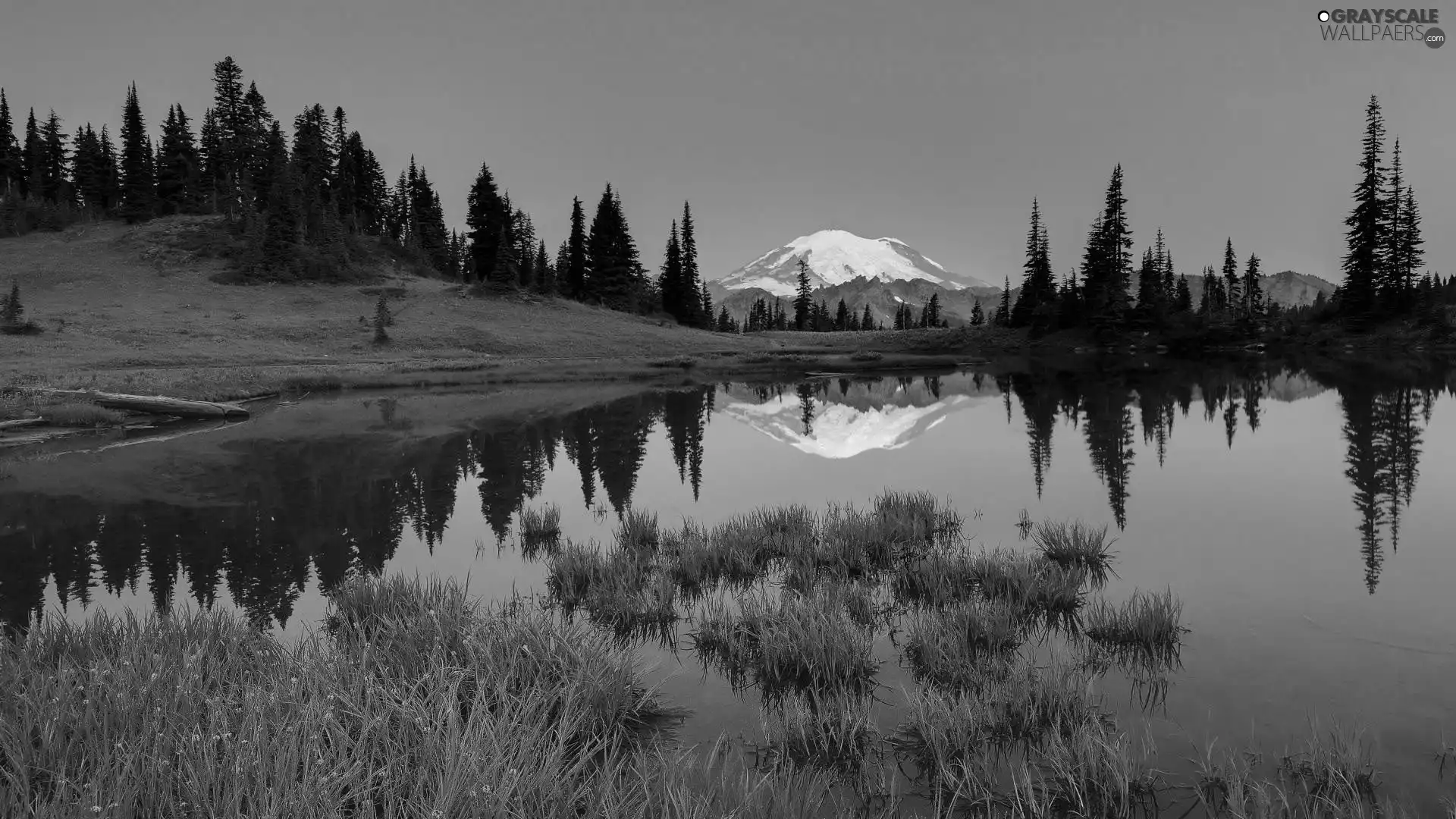 lake, trees, viewes, Mountains