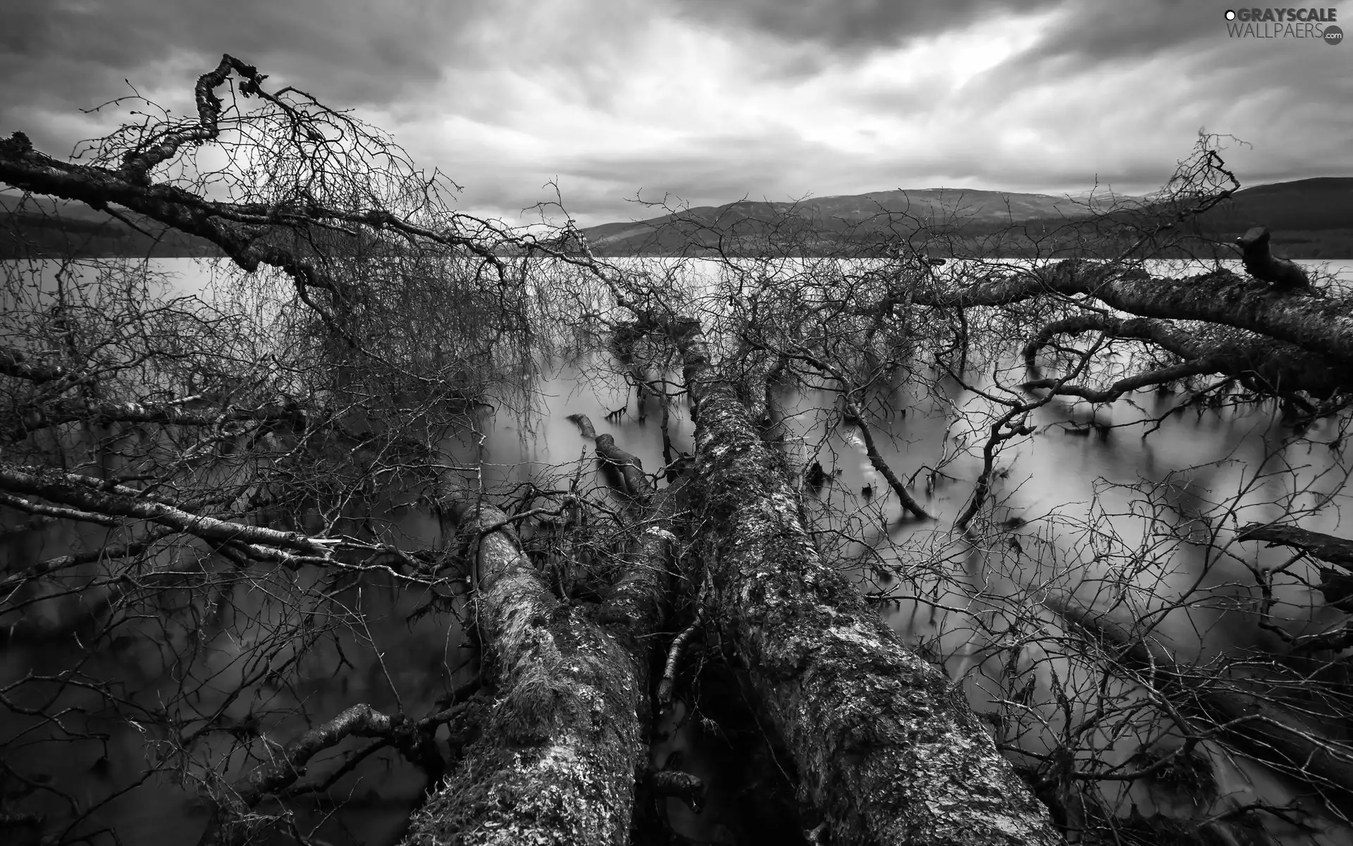 lake, trees, viewes, overturned