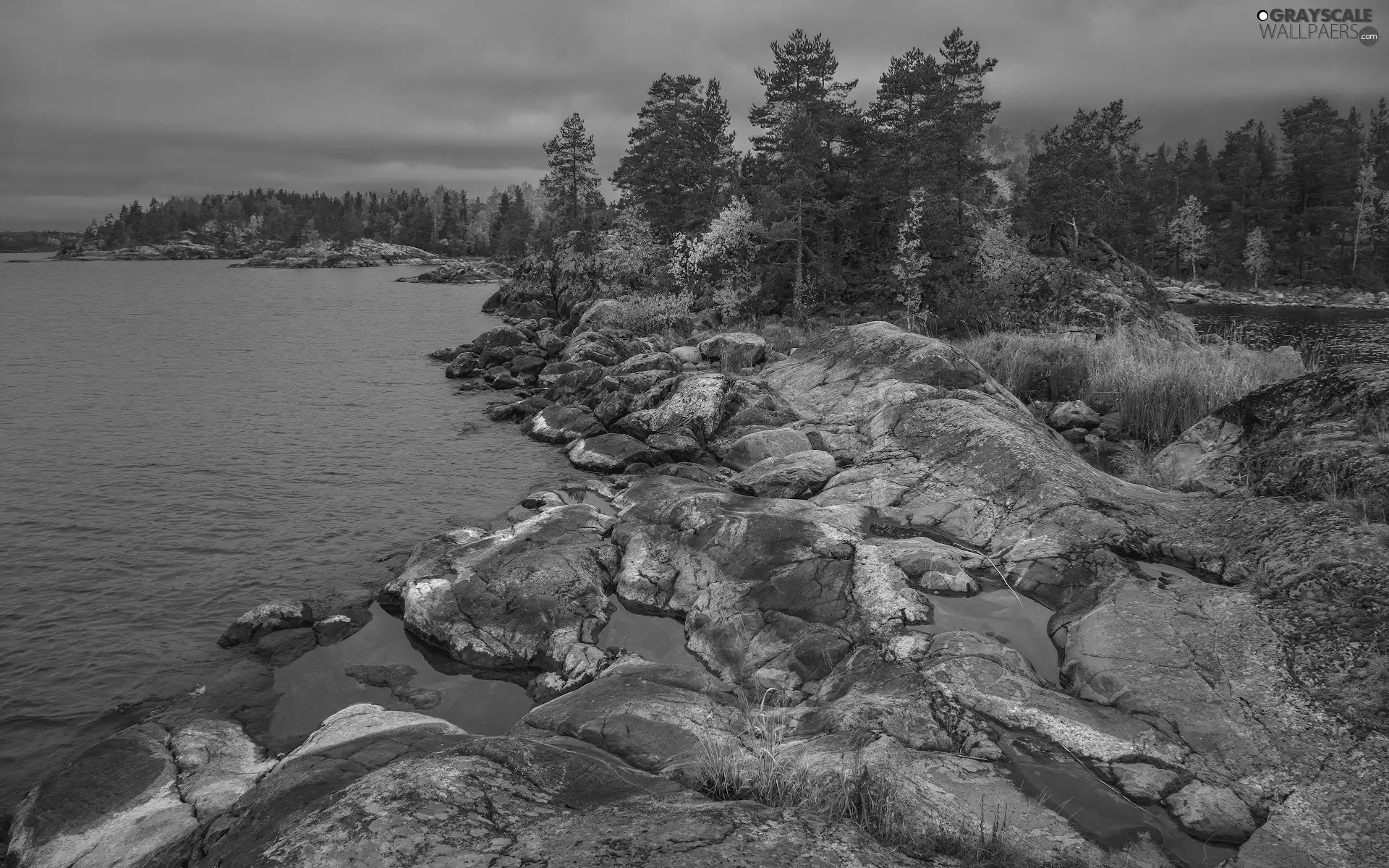viewes, pine, Russia, rocks, grass, trees, Lake Ladoga, Tufts