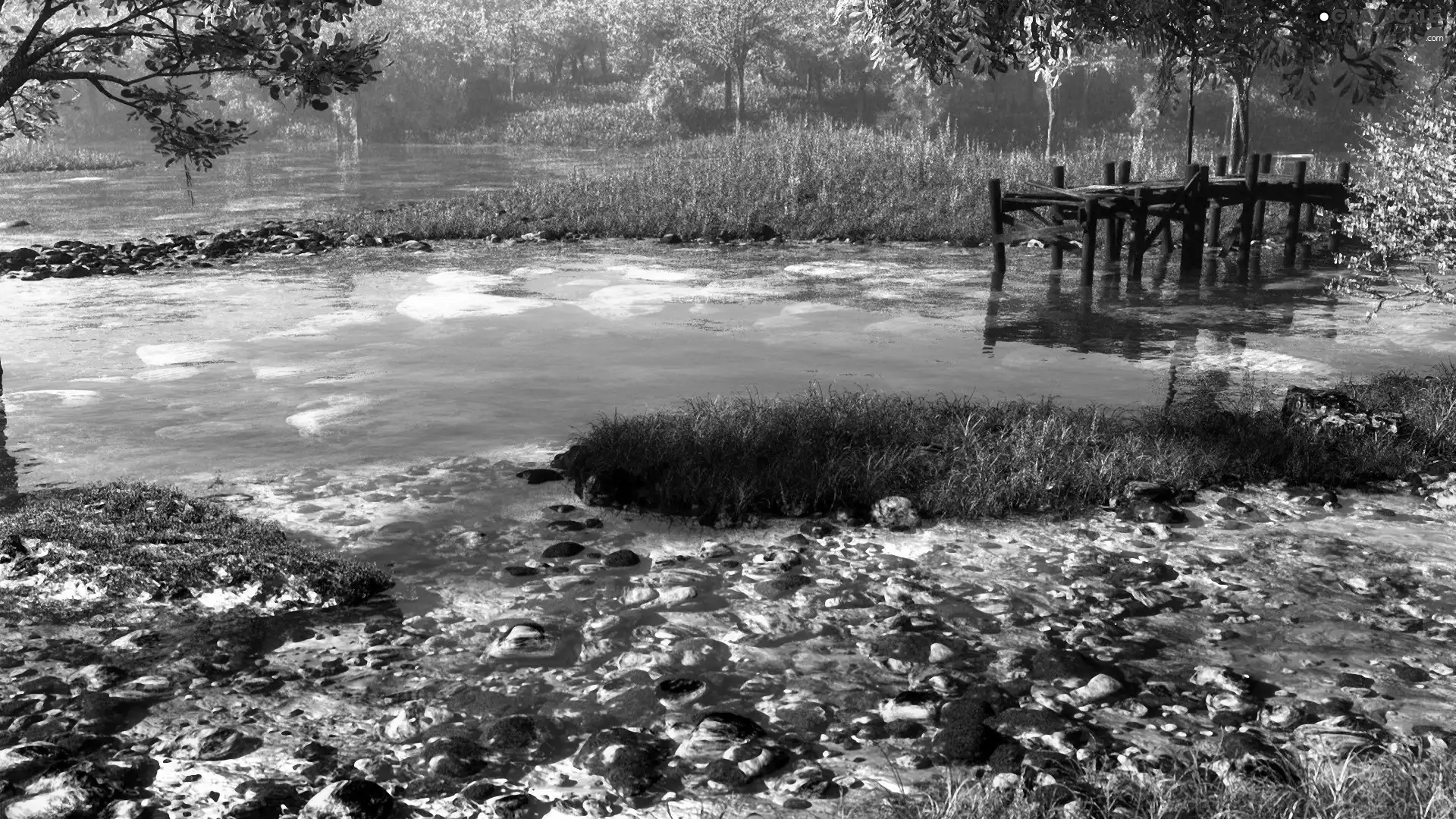 lake, trees, viewes, Platform