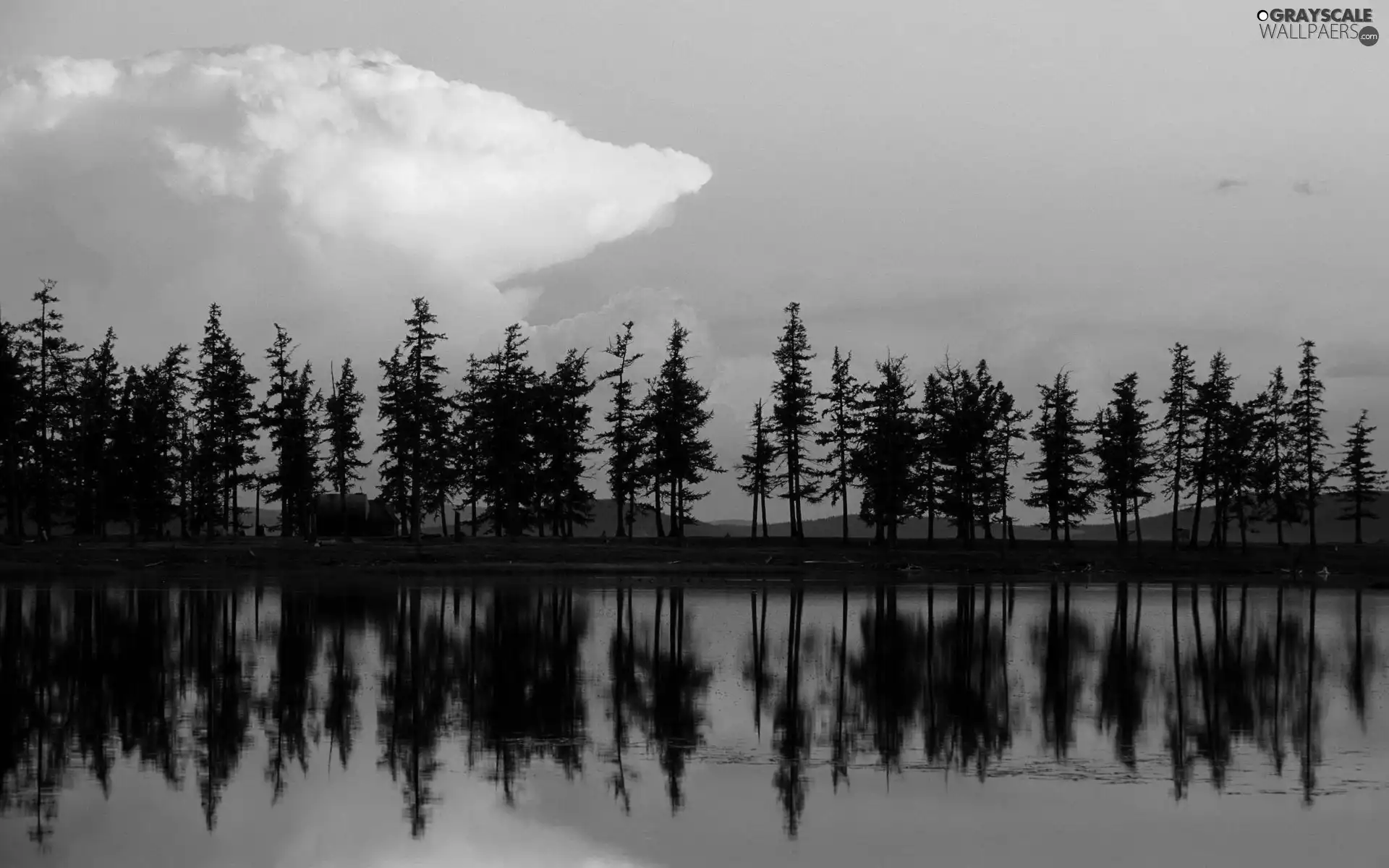 lake, trees, viewes, reflection