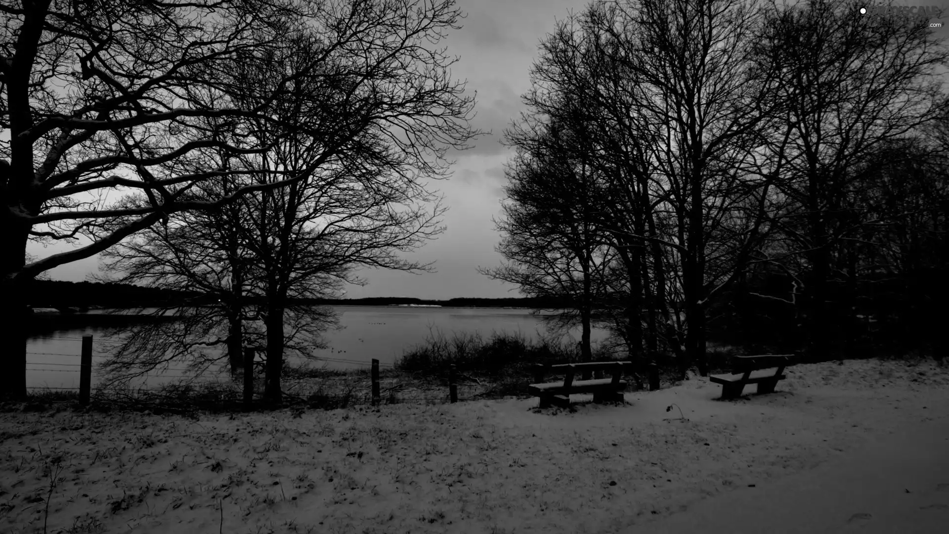 lake, trees, viewes, snow