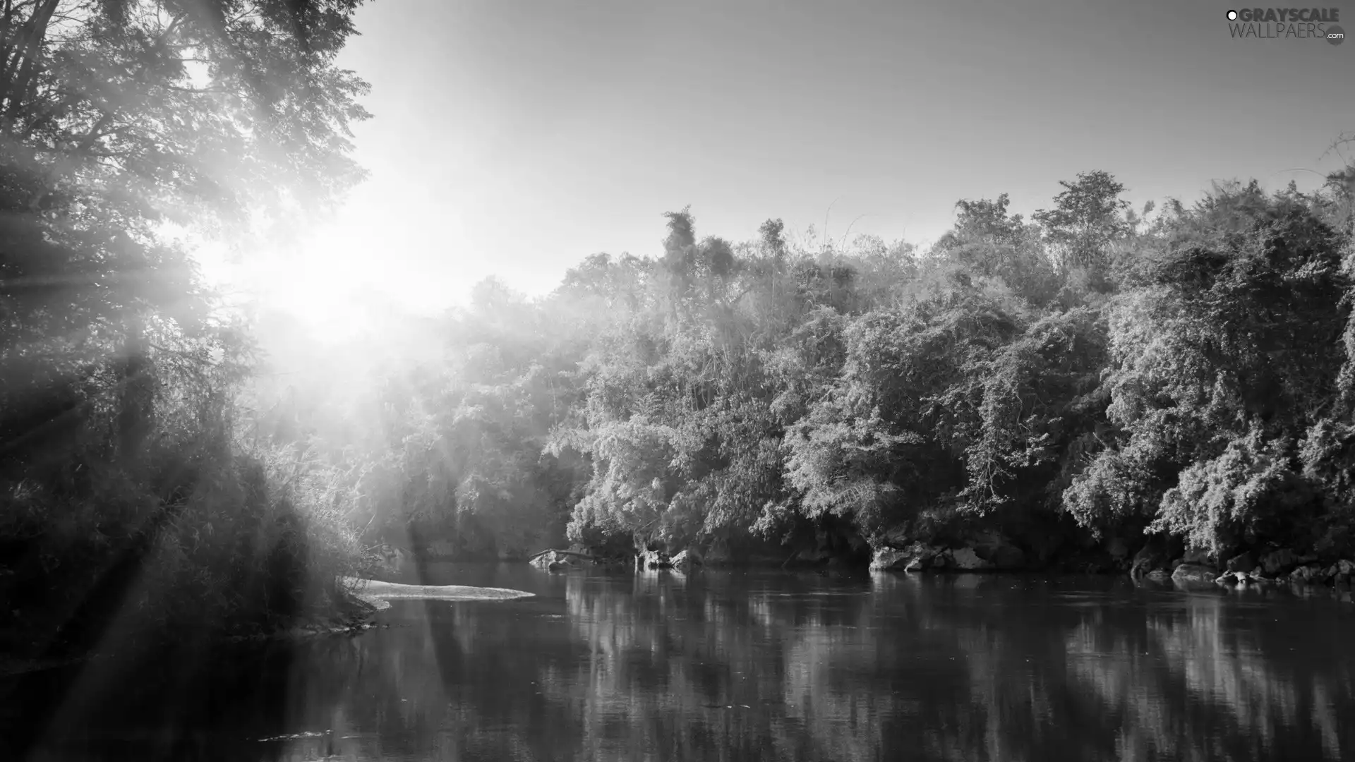 lake, trees, viewes, sun