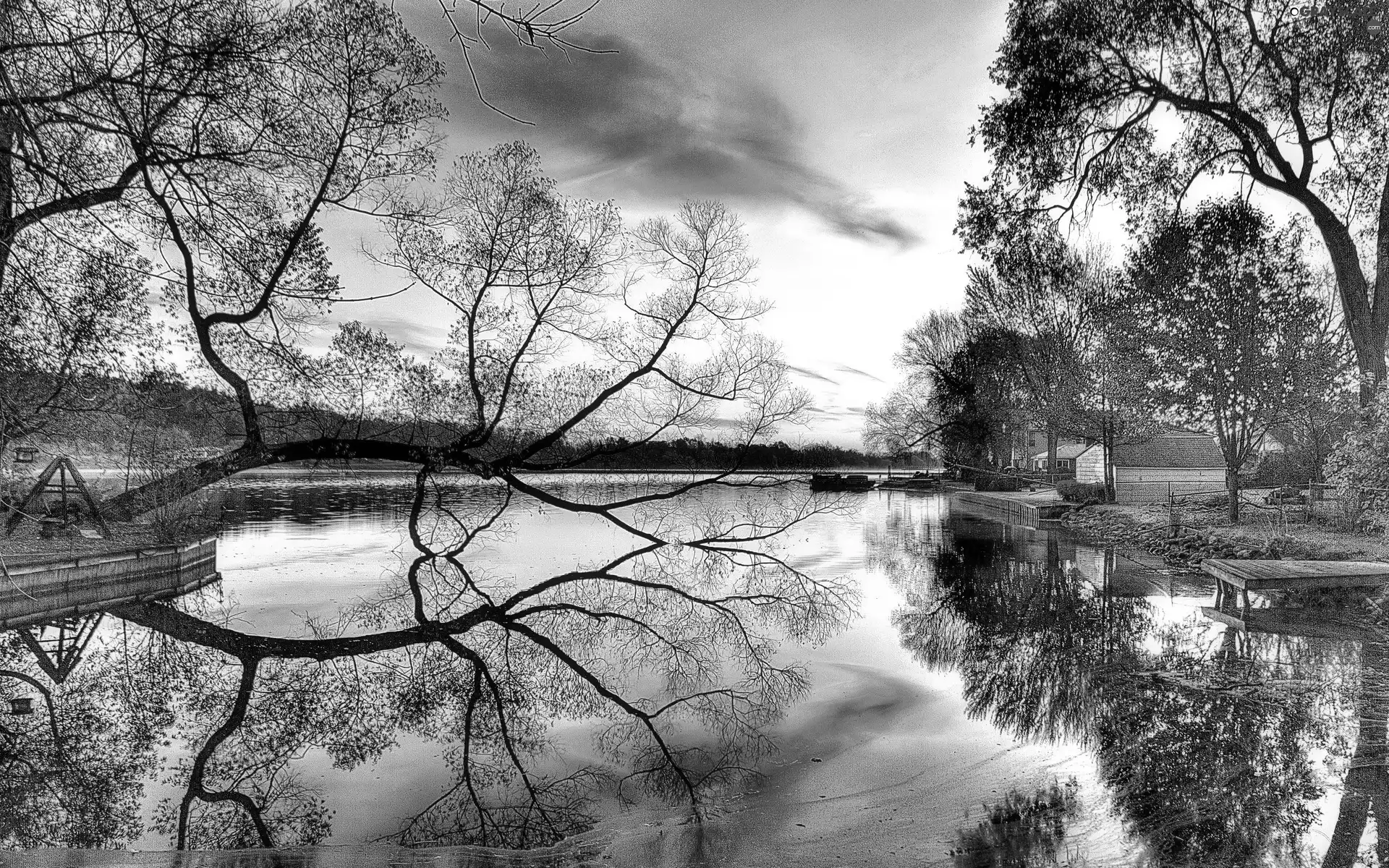 viewes, lake, sun, trees, west