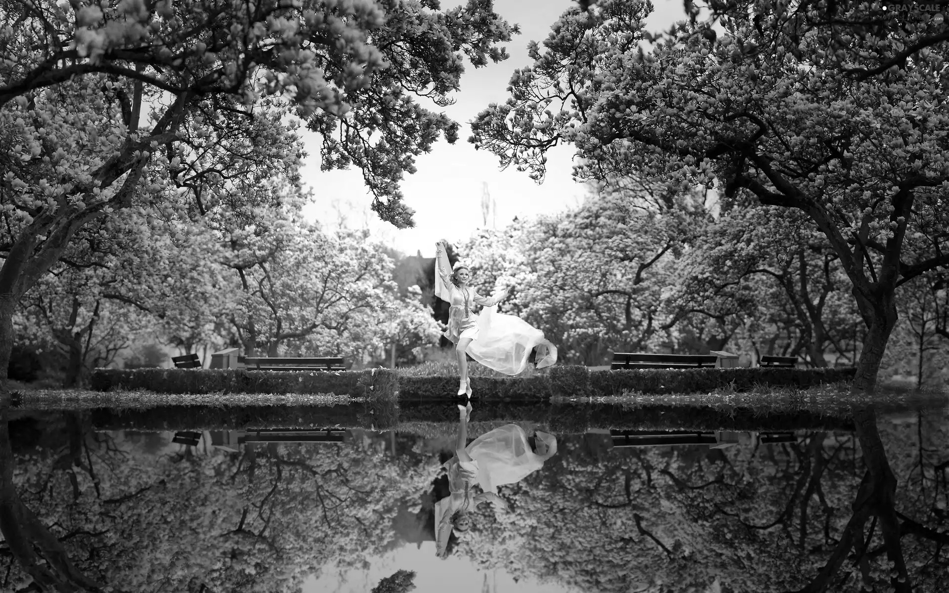 viewes, lake, dance, trees, Women