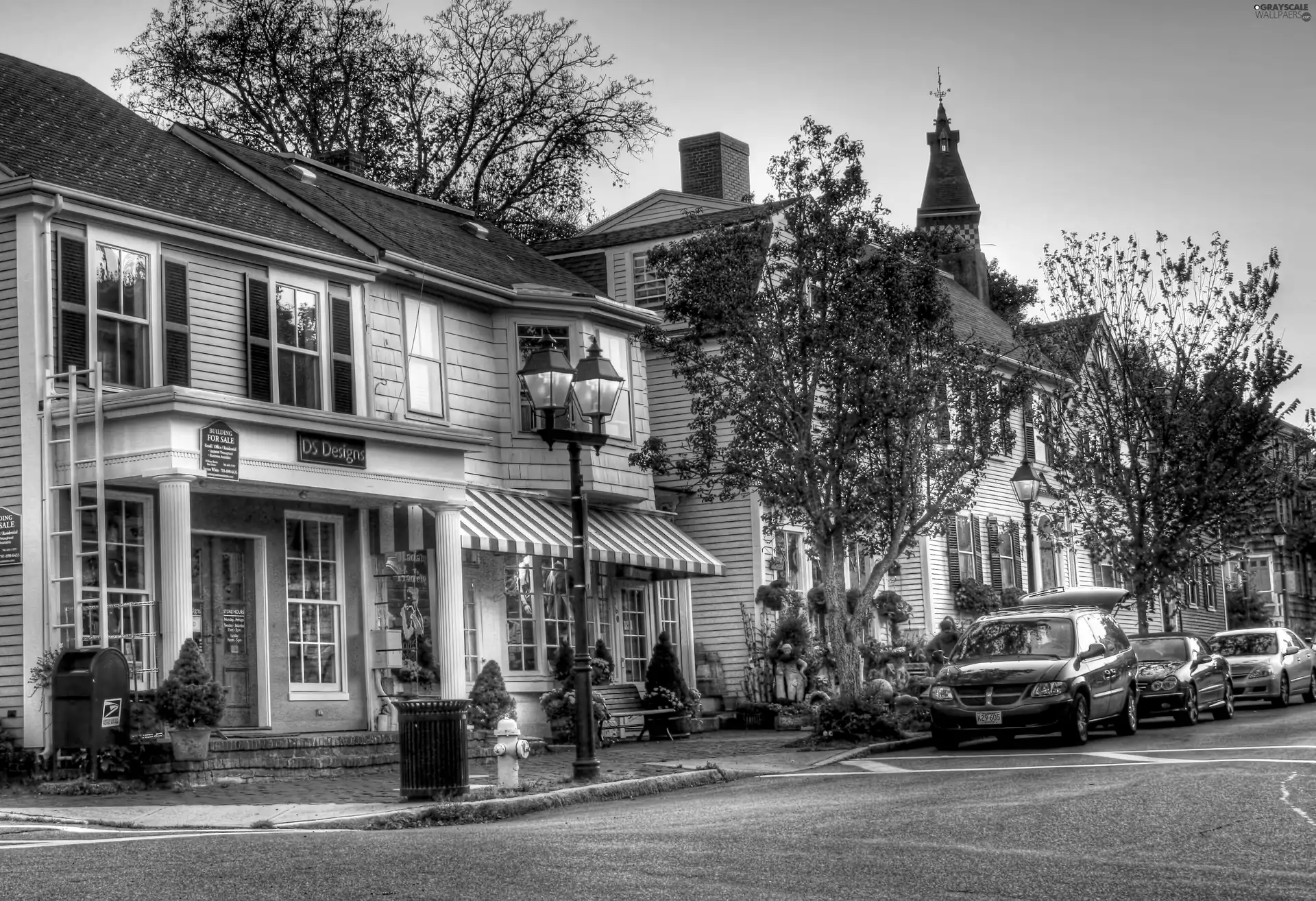 cars, Street, viewes, Lamps, trees, Houses