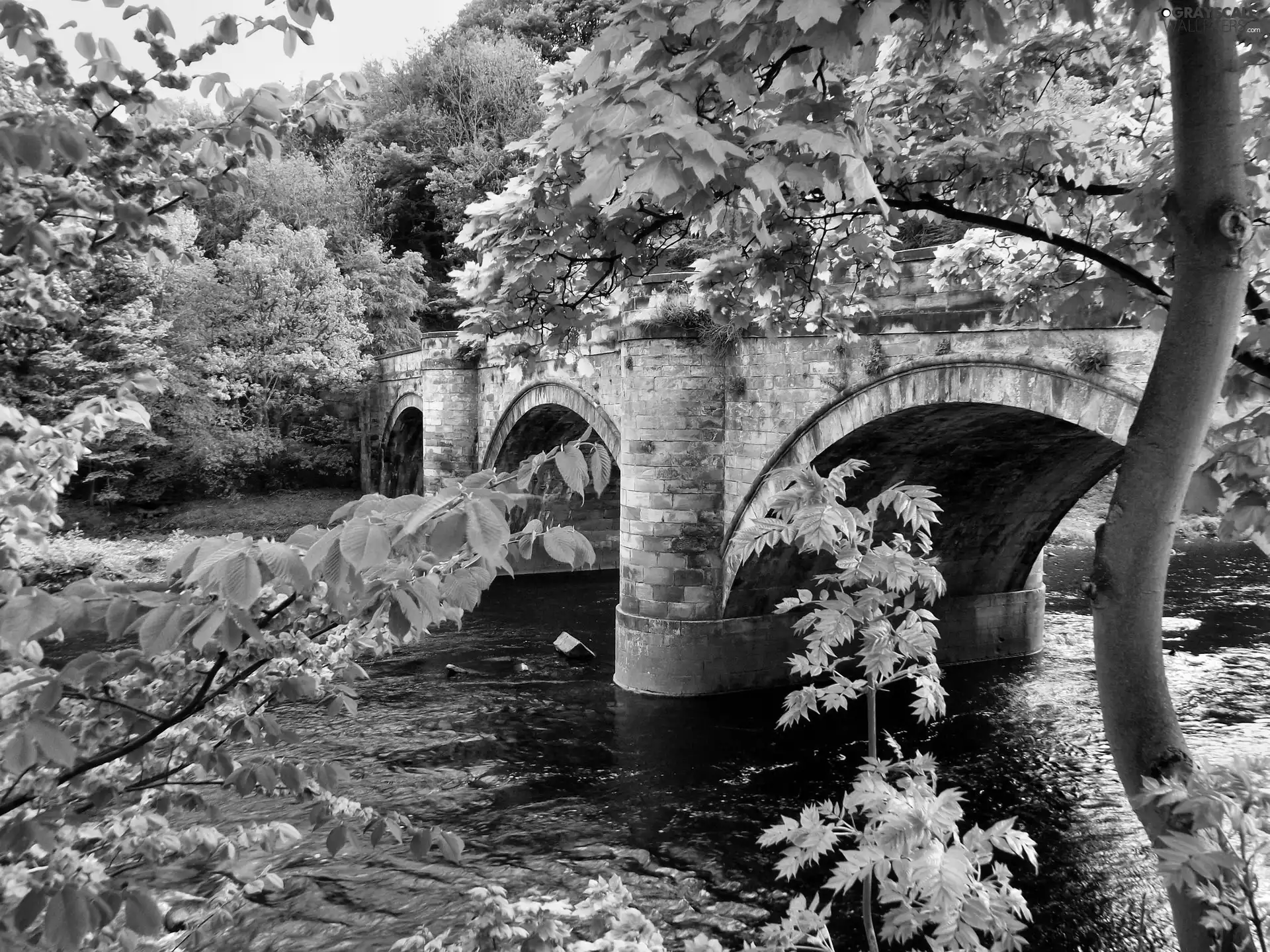 viewes, landscape, River, trees, bridge