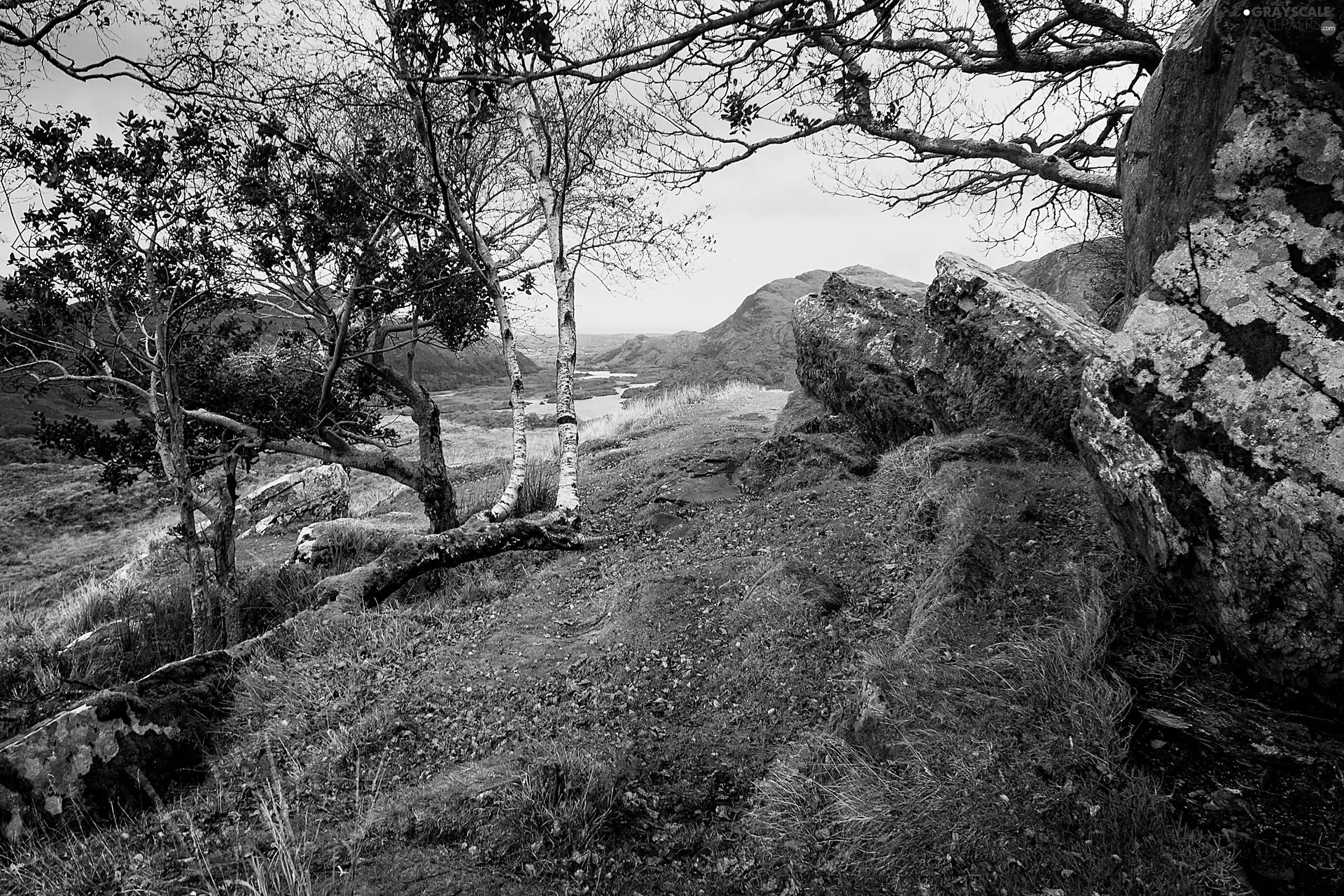 viewes, landscape, rocks, trees, Mountains