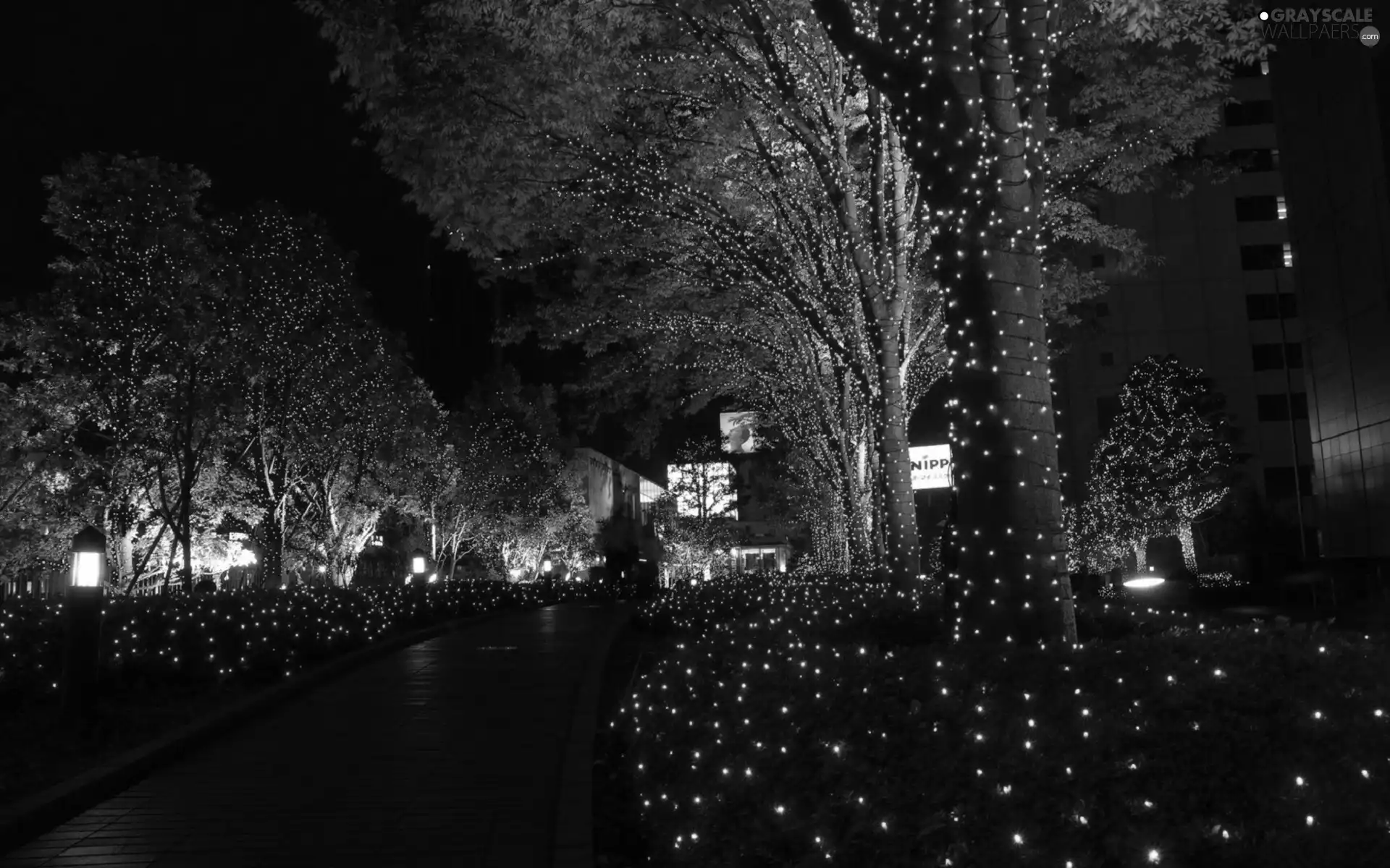 viewes, lane, Lights, trees, Blue