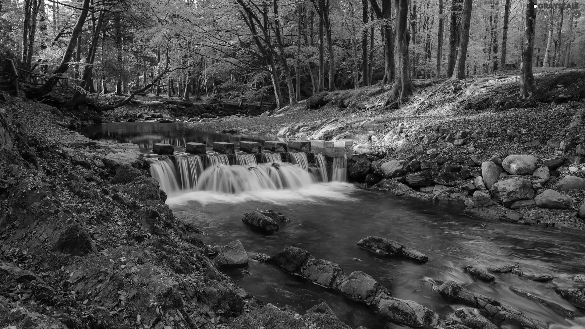 Knickpoint, Slopes, Leaf, trees, Stones, River, autumn, viewes