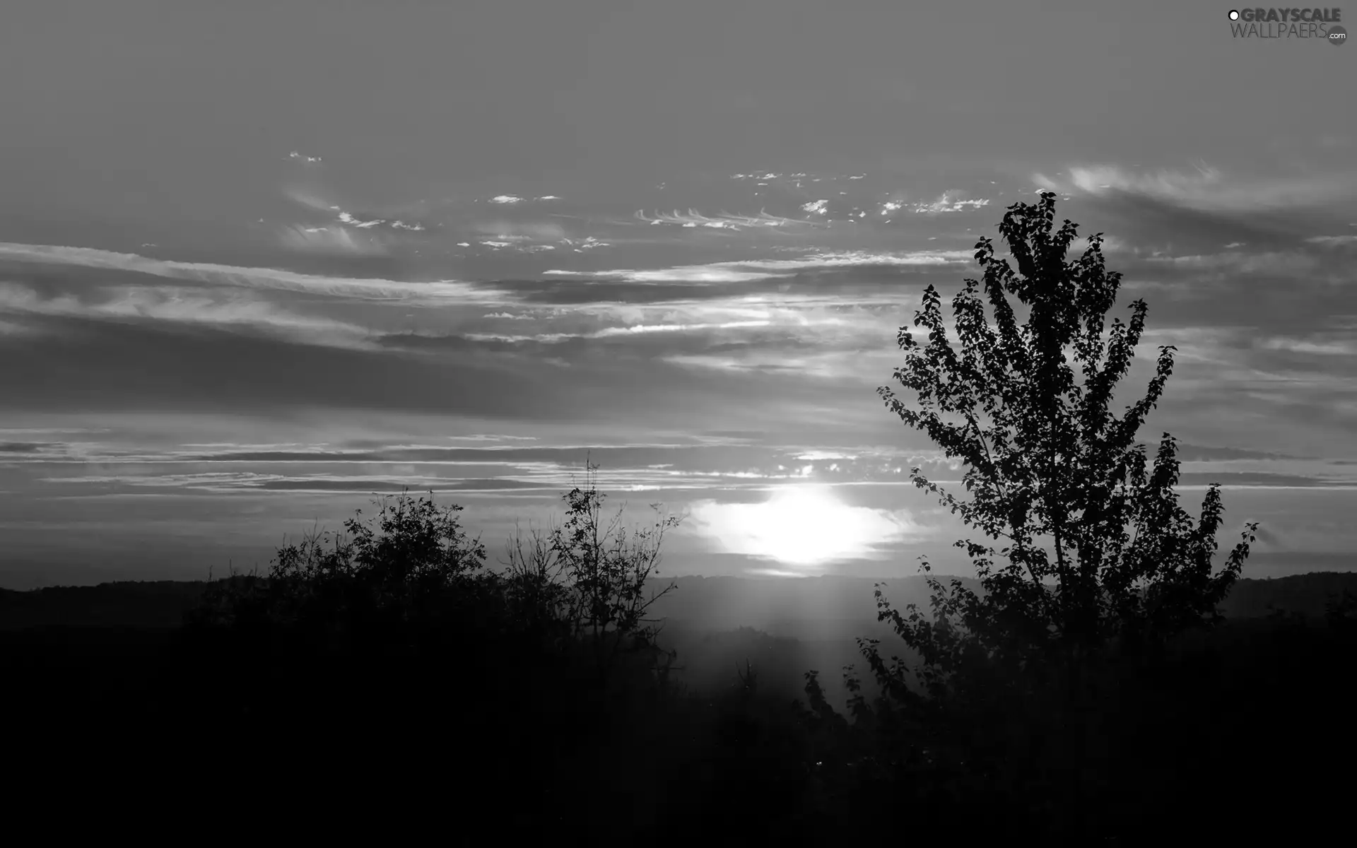 west, clouds, viewes, Leaf, trees, sun