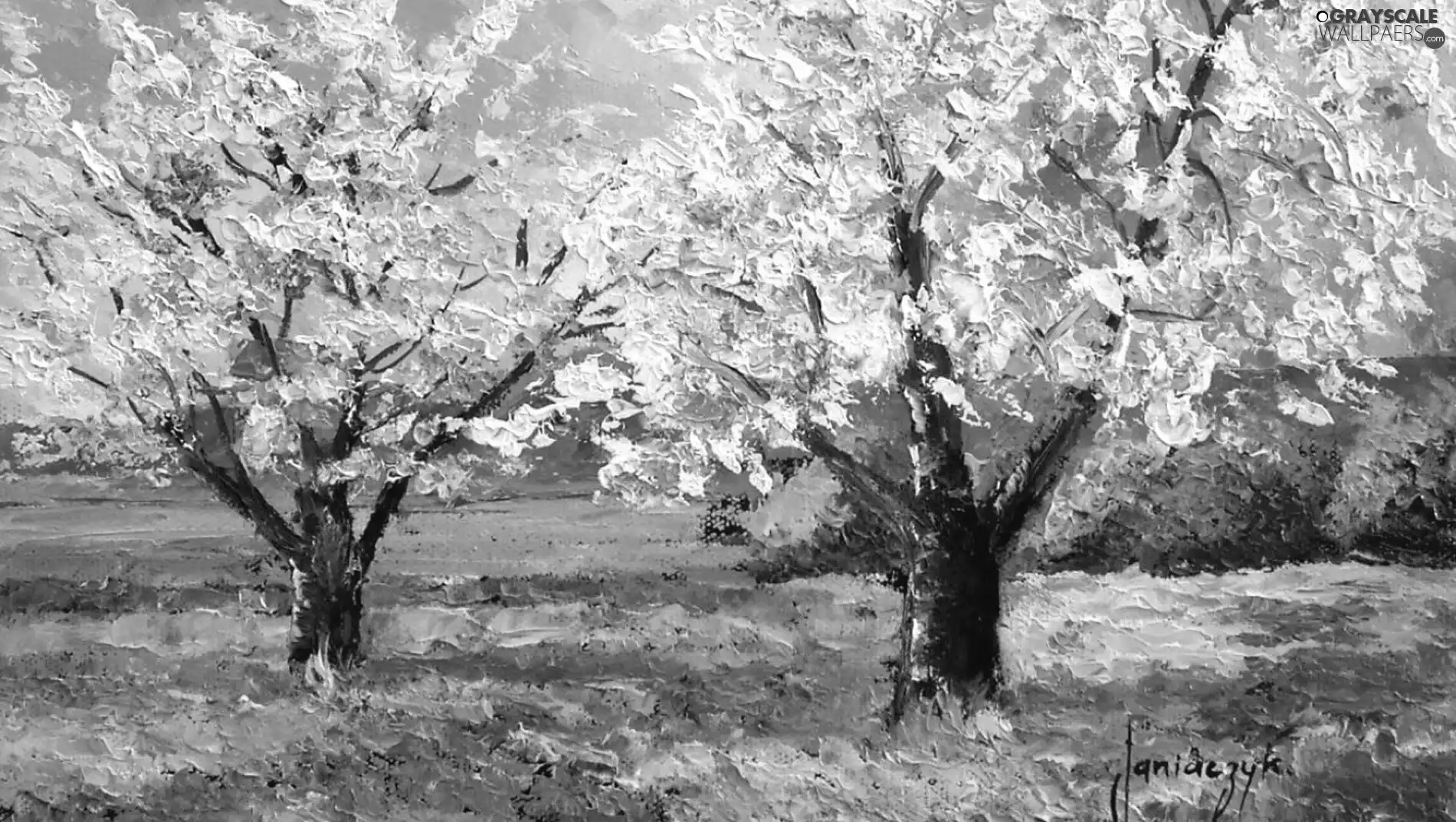 picture, trees, viewes, Jean Marc Janiaczyk