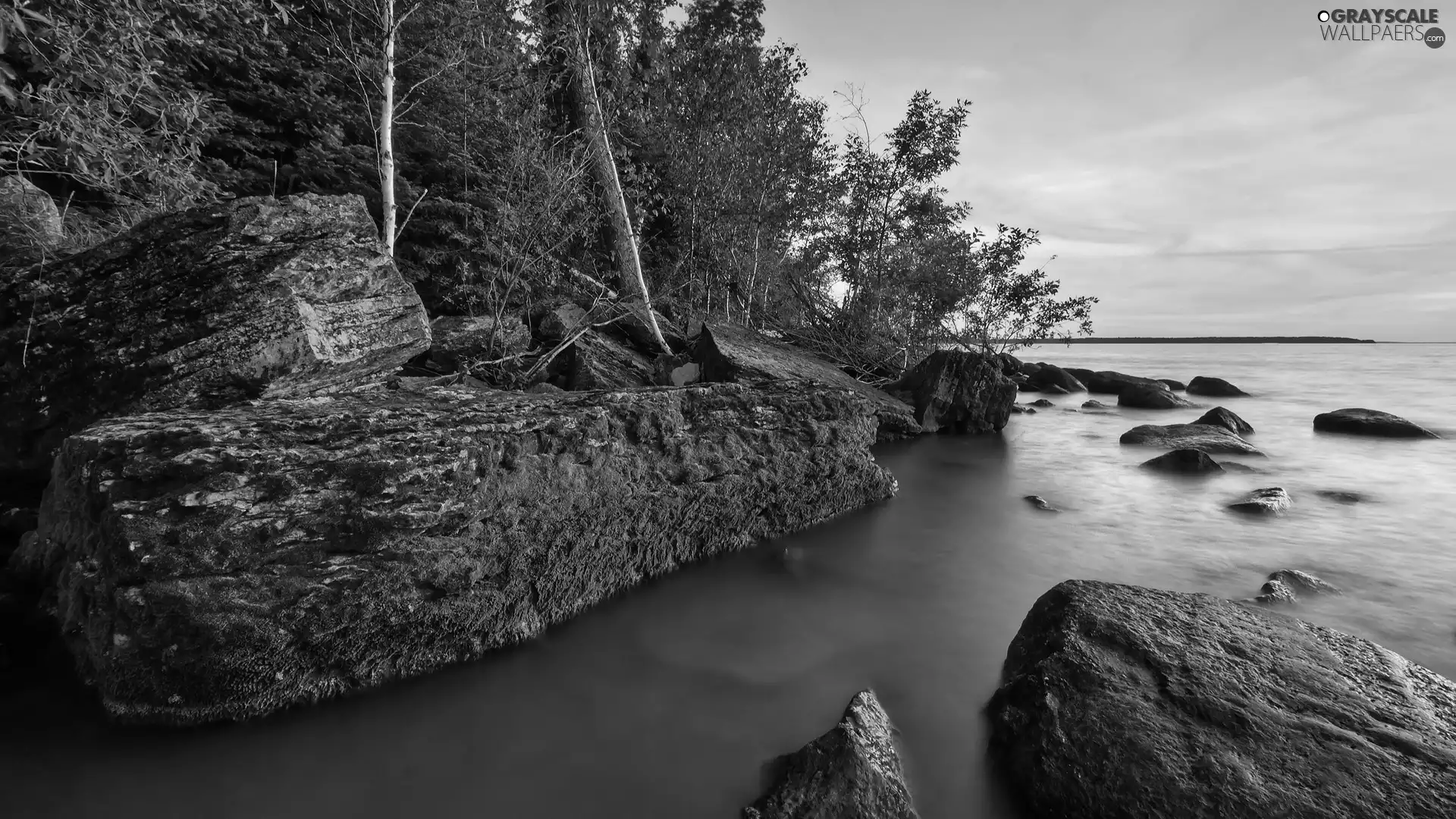 water, Stones, viewes, Moss, trees, turbid