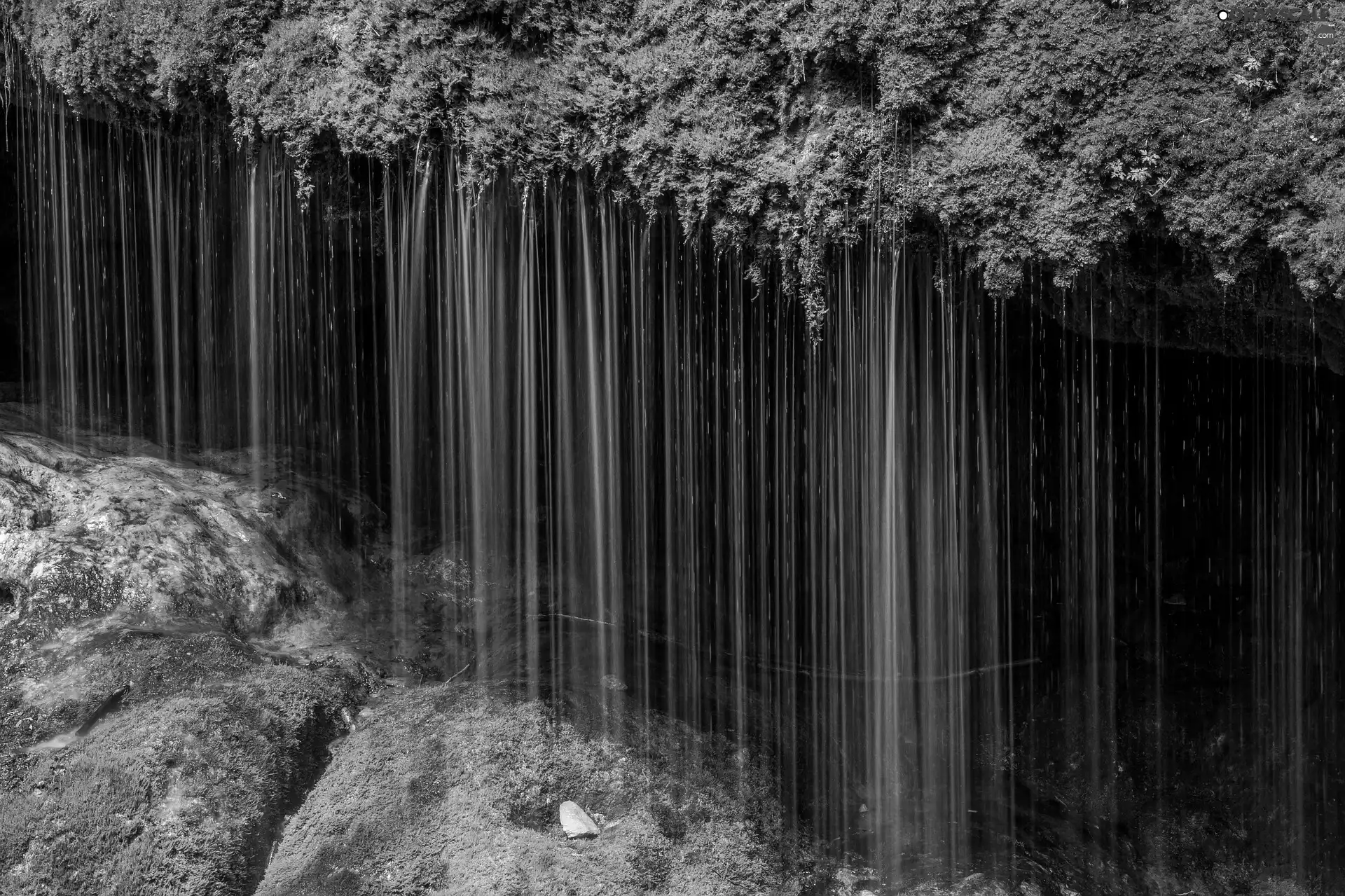 trees, viewes, mossy, boulders, waterfall