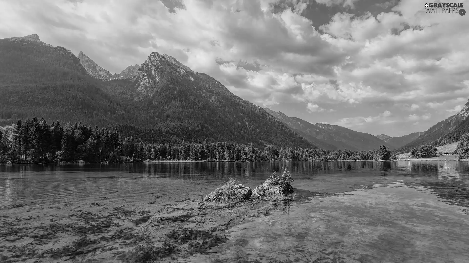viewes, Lake Hintersee, Bavaria, trees, Alps Mountains, rocks, Germany