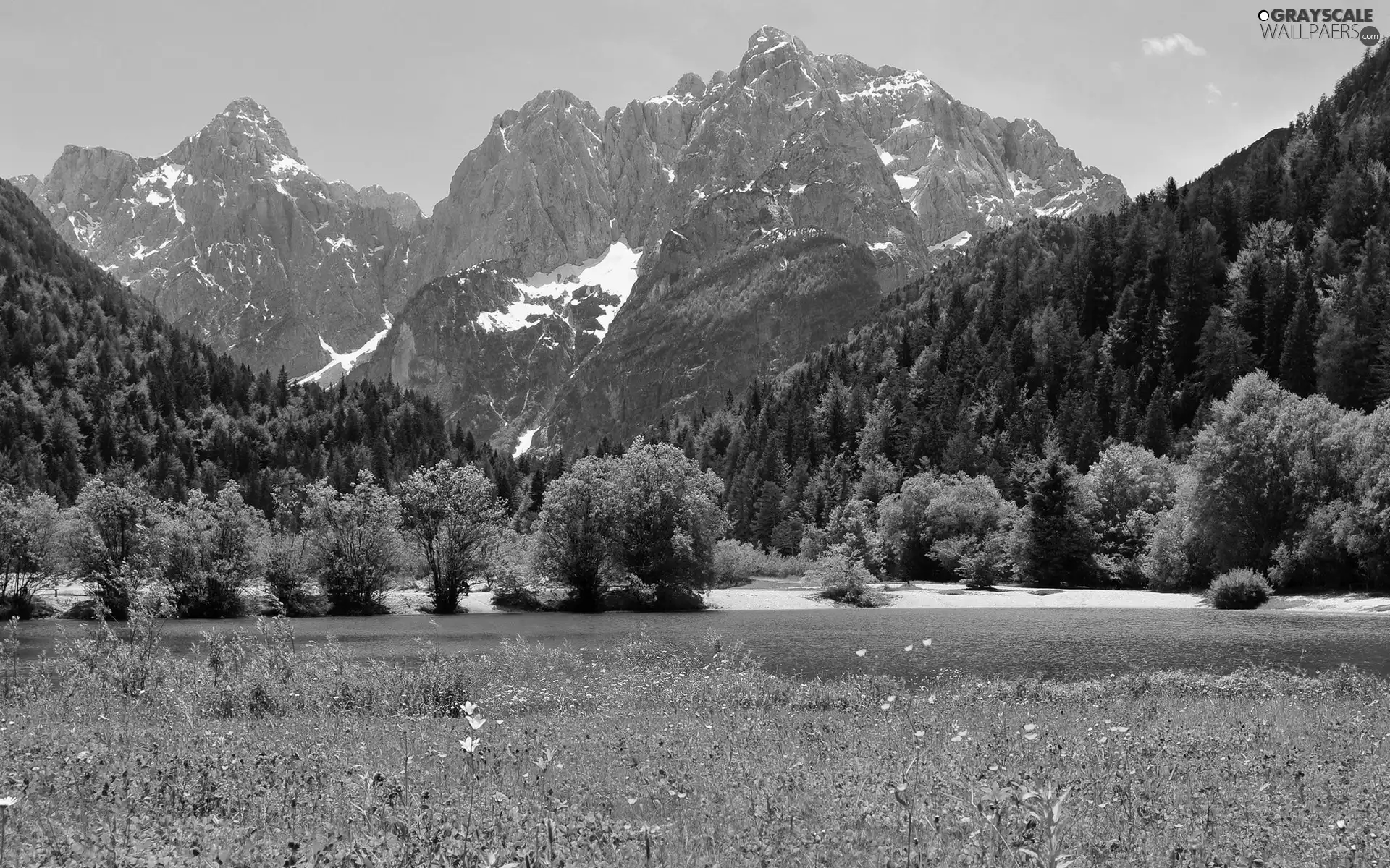 viewes, Mountains, lake, trees, Flowers