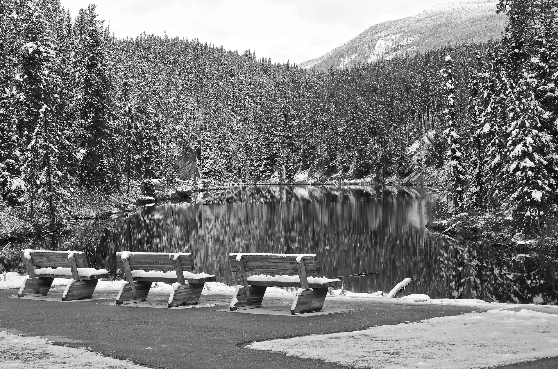 lake, forest, Mountains, trees, snow, bench, winter, viewes