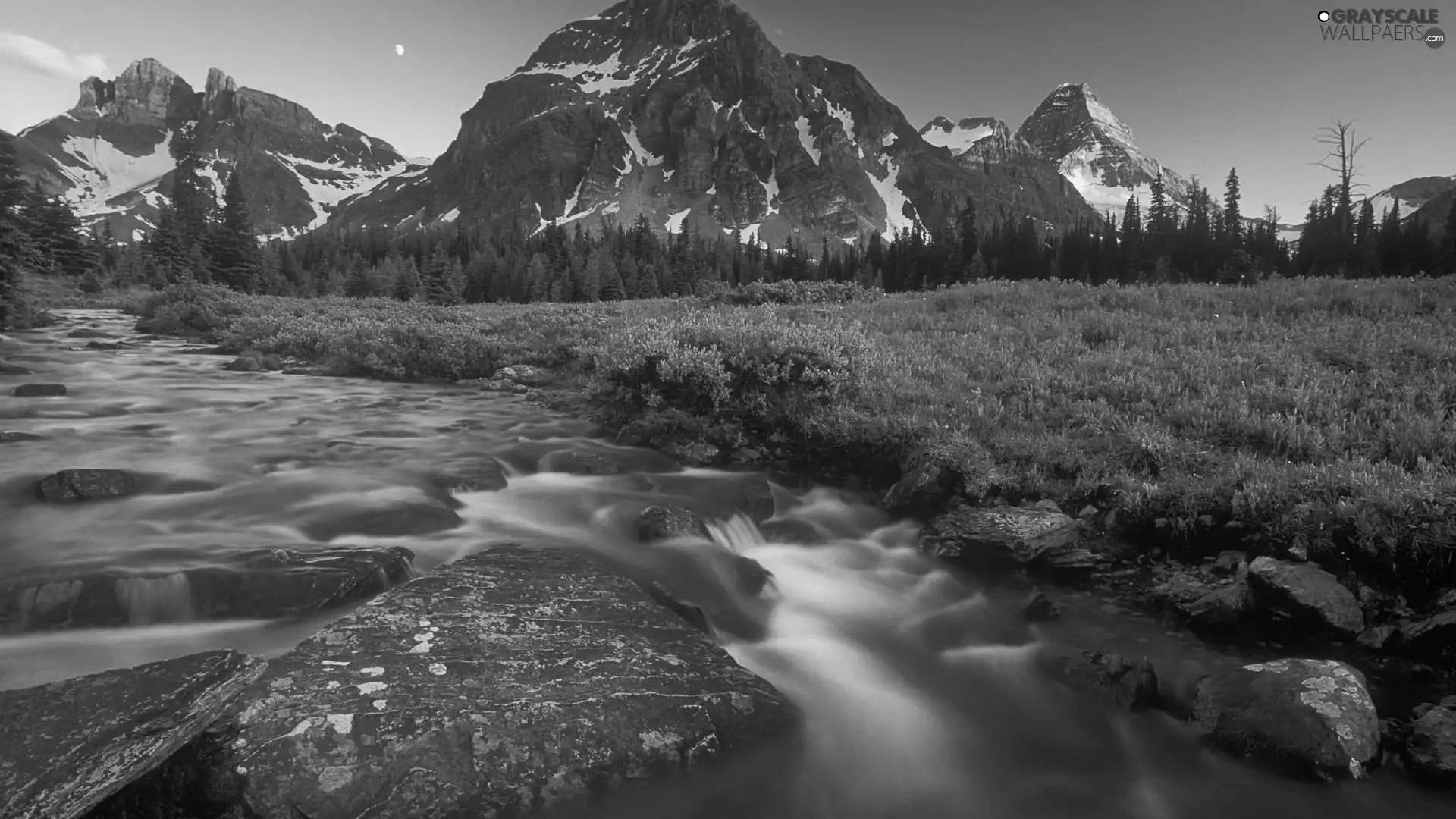 viewes, Mountains, grass, trees, River