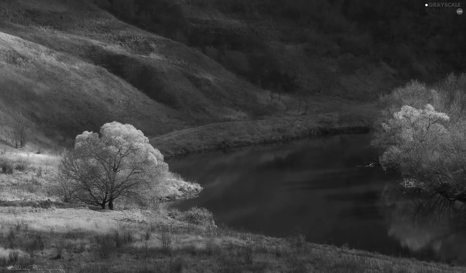 trees, viewes, Mountains, Yellowed, River