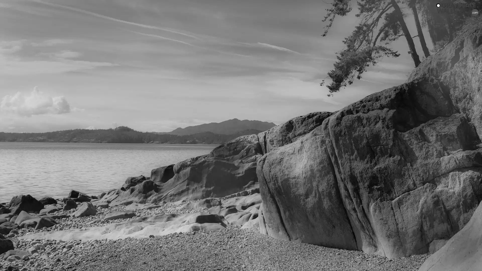 trees, viewes, Mountains, rocks, sea