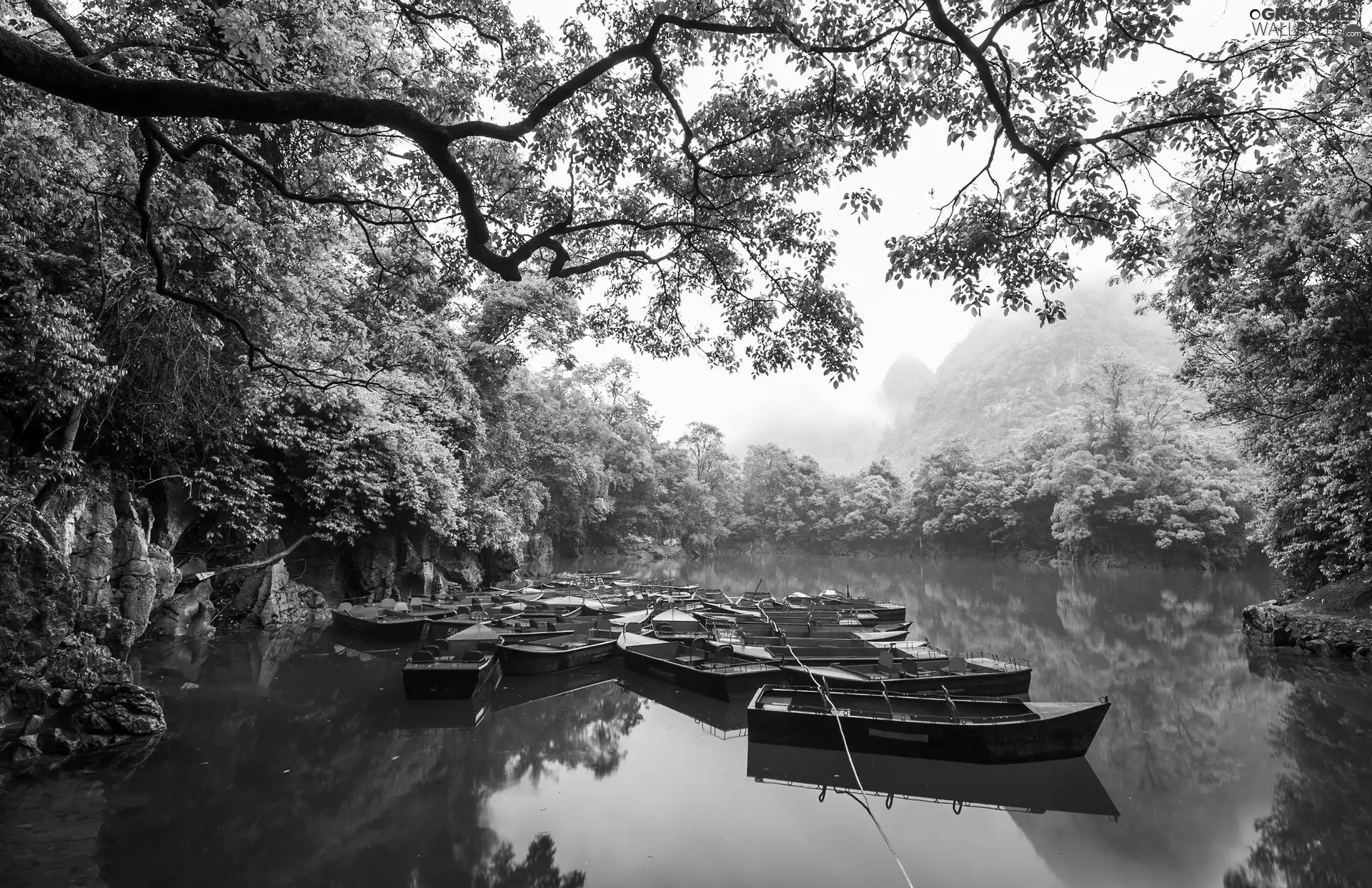 forest, boats, viewes, Mountains, trees, River