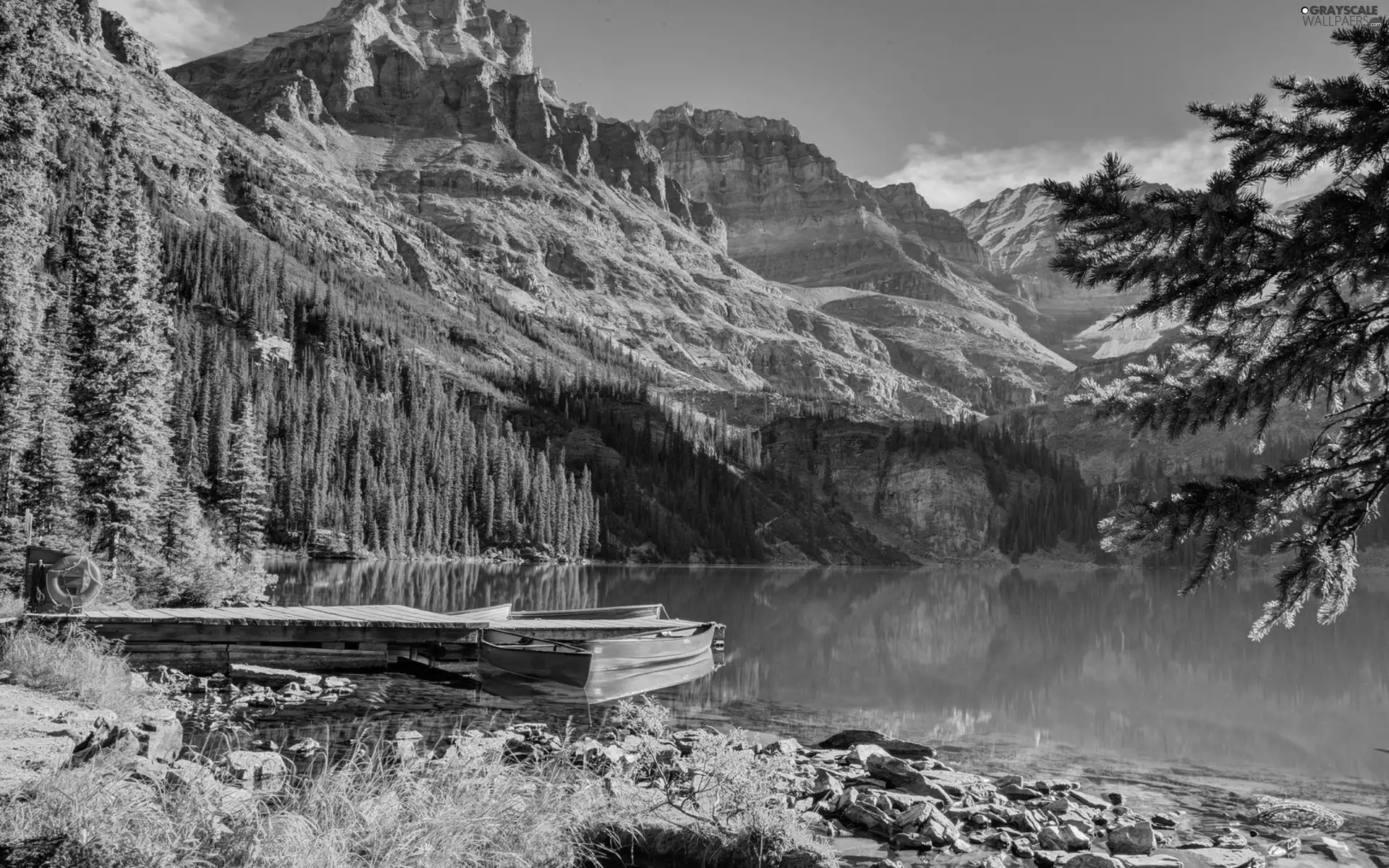 Mountains, trees, viewes, lake