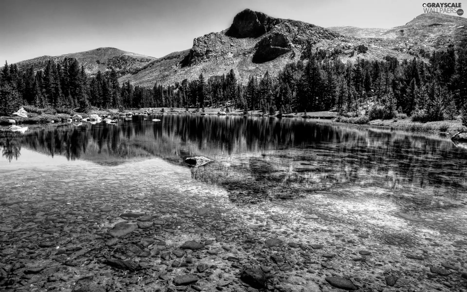 Mountains, trees, viewes, lake