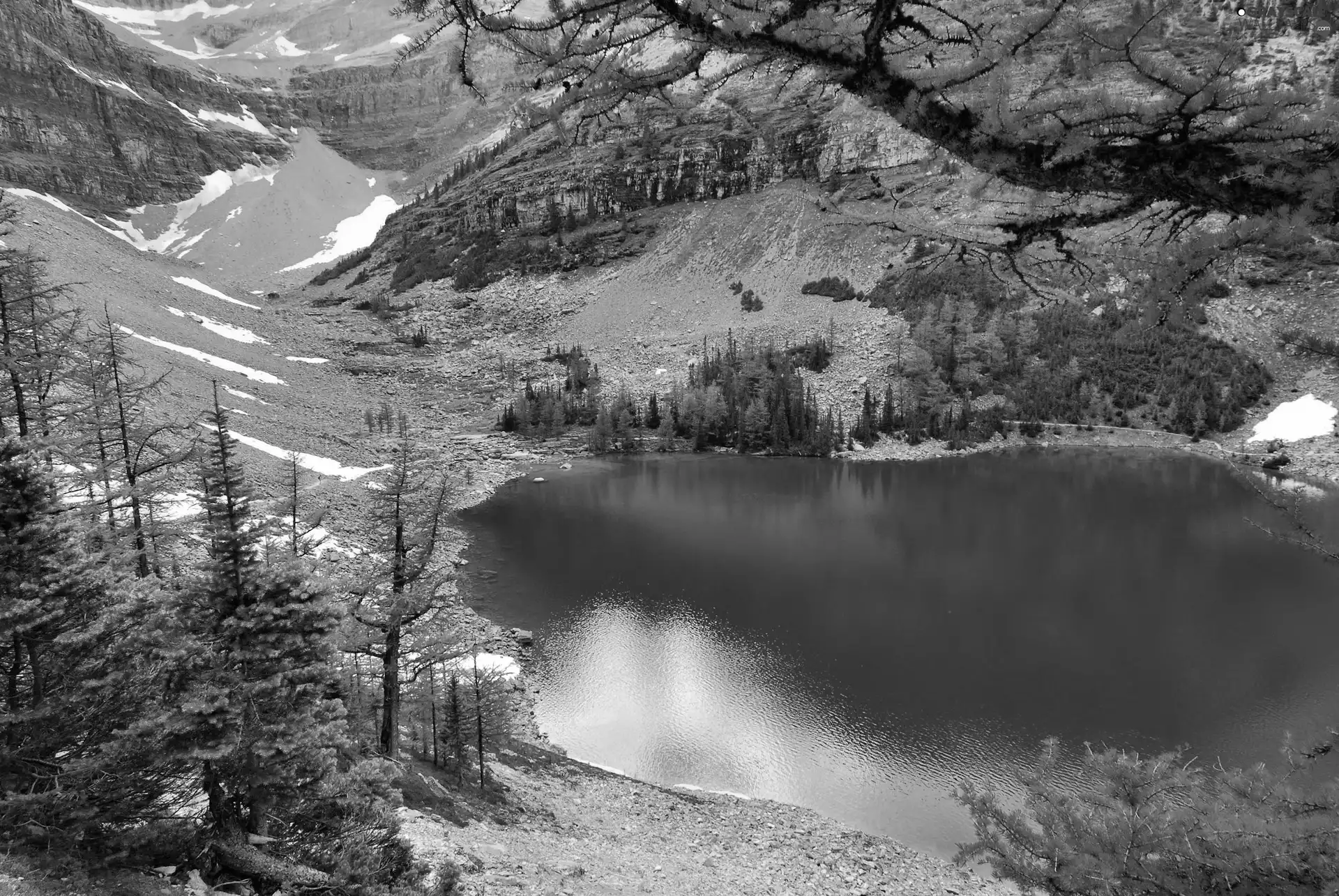 Mountains, trees, viewes, lake