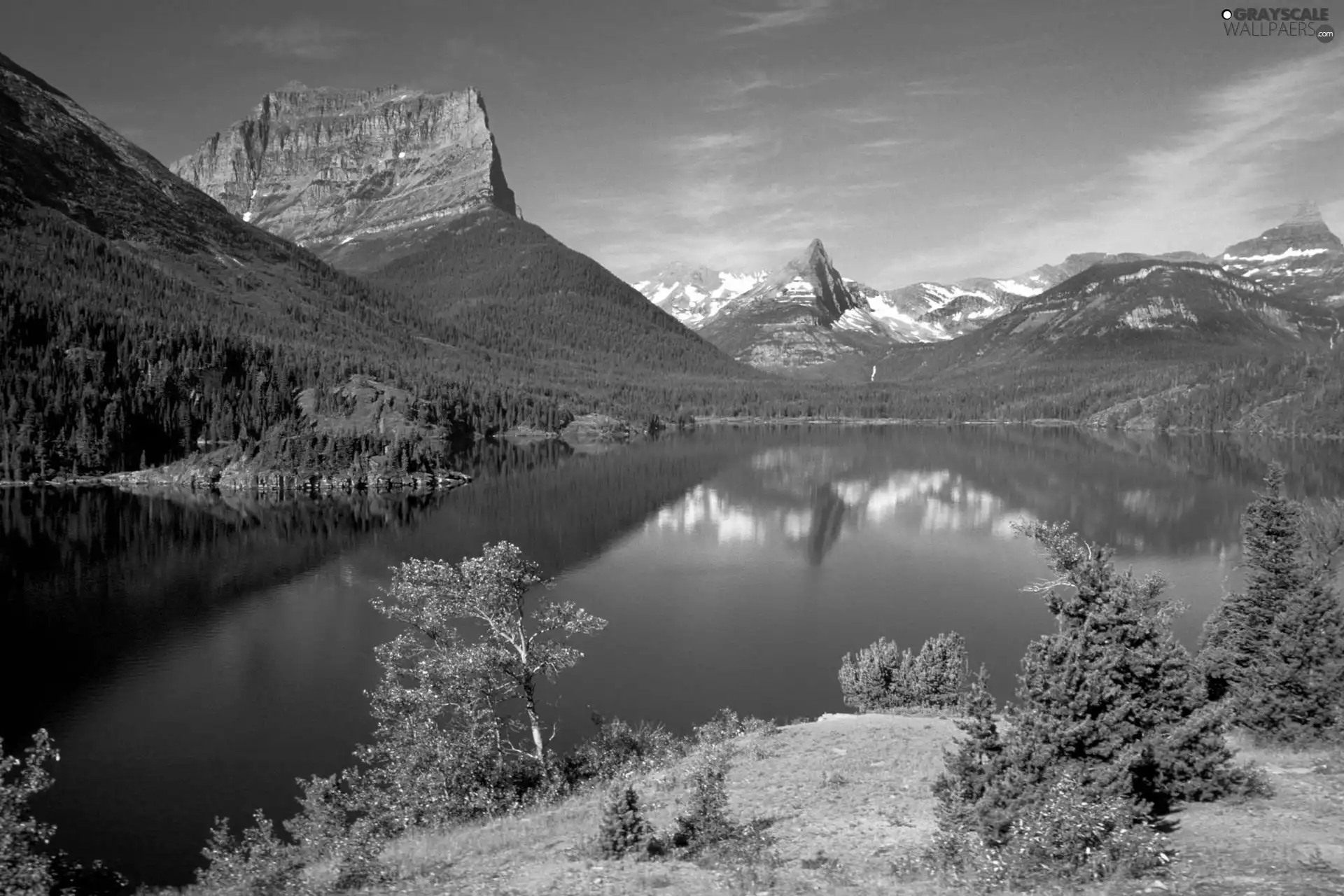 Mountains, trees, viewes, lake