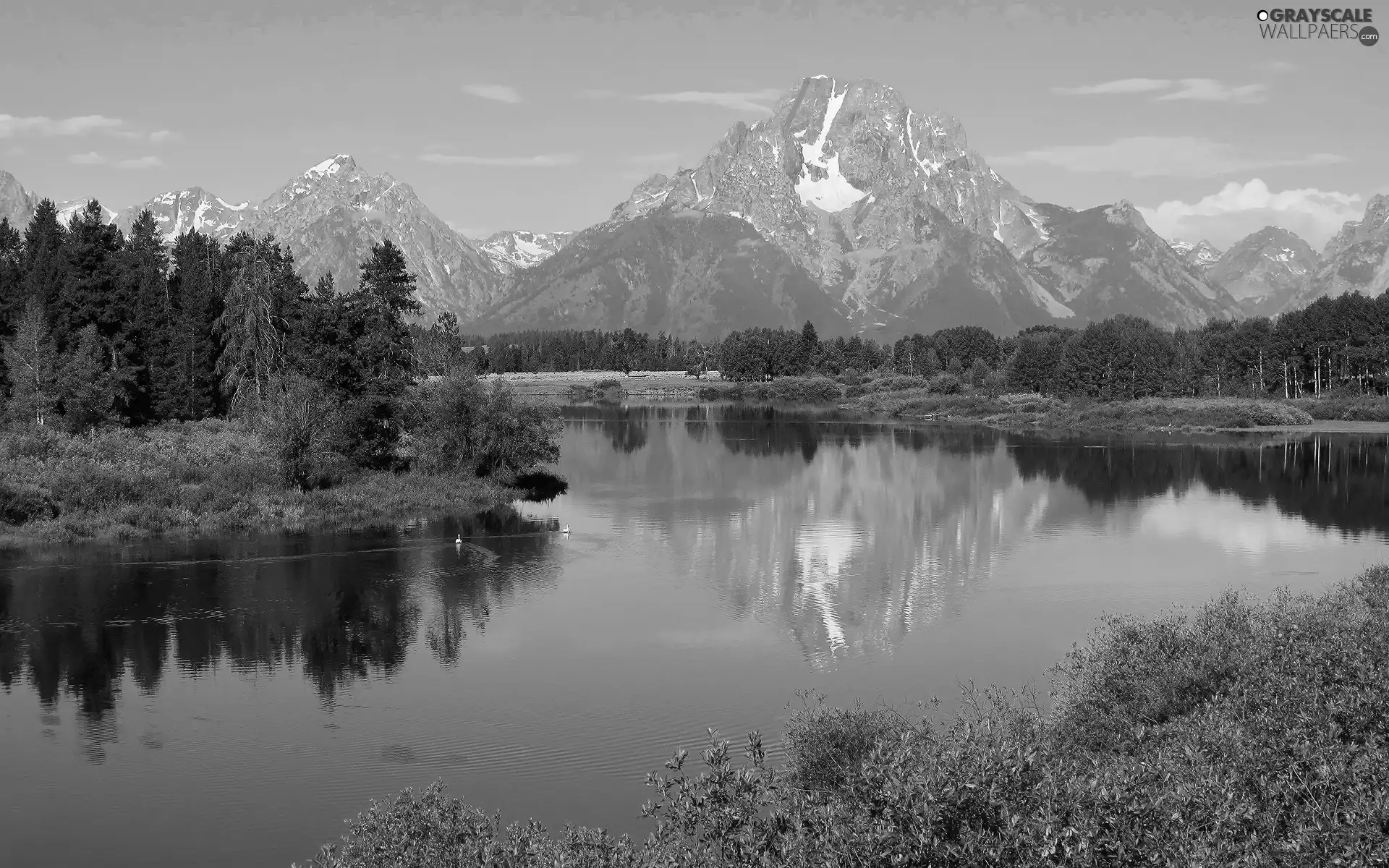 Mountains, trees, viewes, River