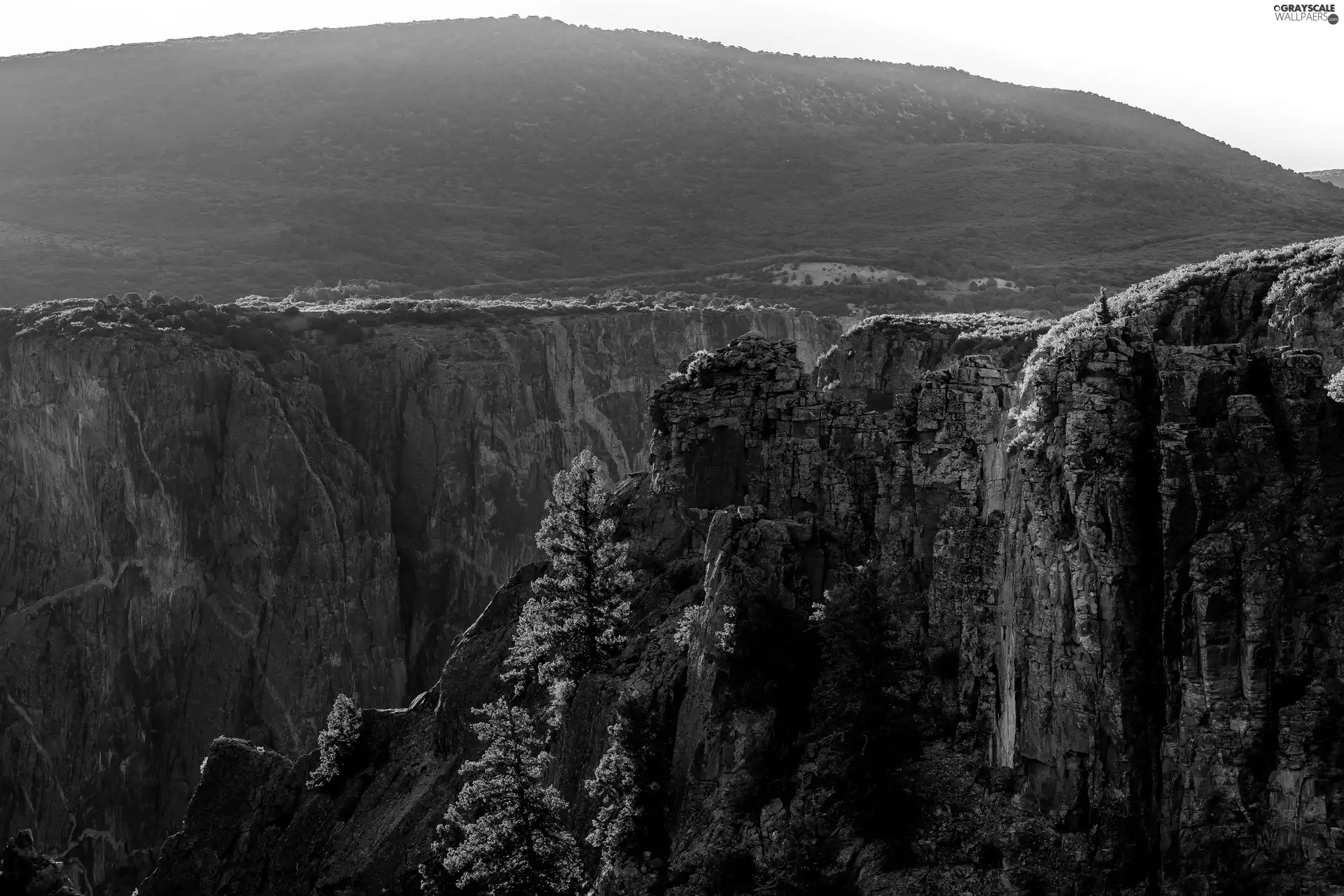 Mountains, trees, viewes, rocks