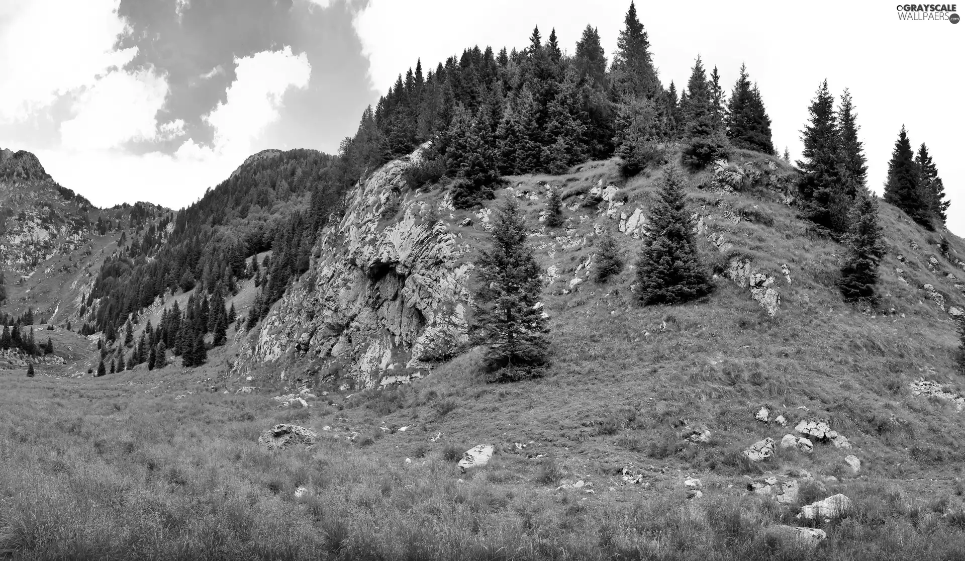 Mountains, trees, viewes, rocks