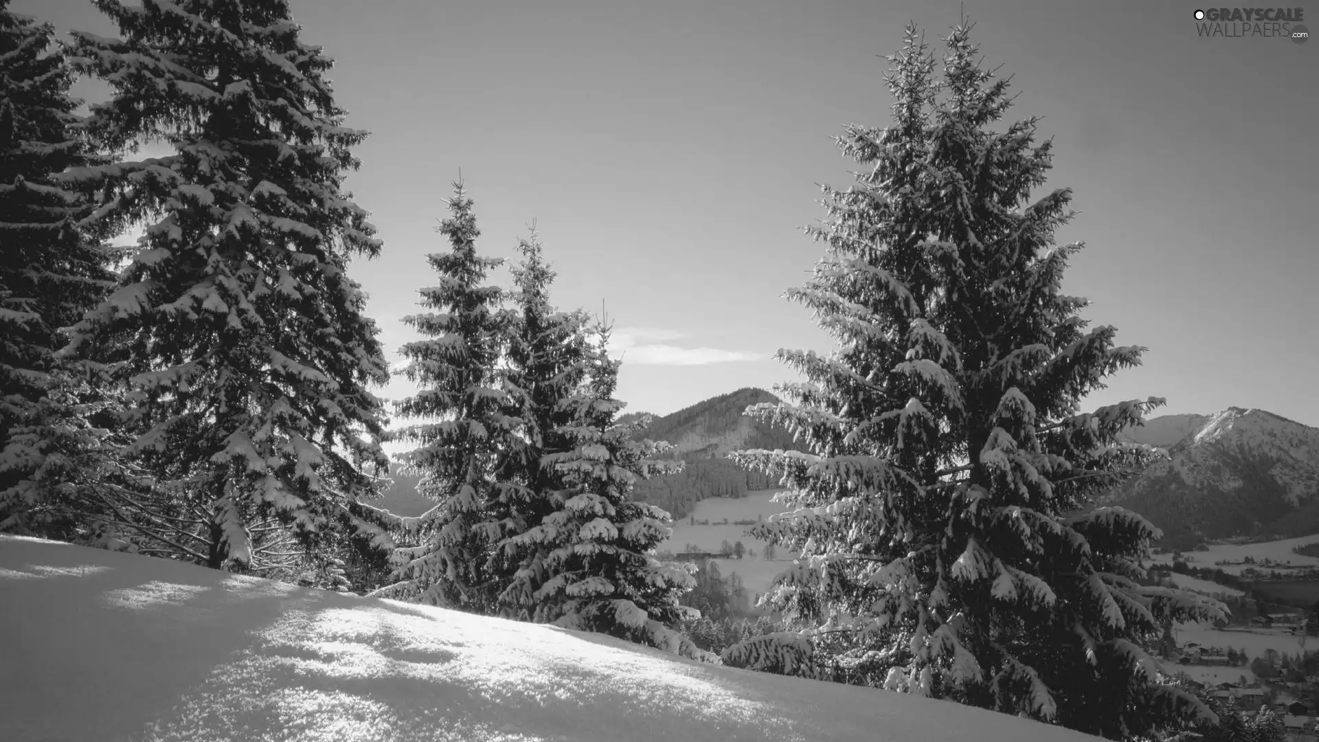 Mountains, trees, viewes, snow