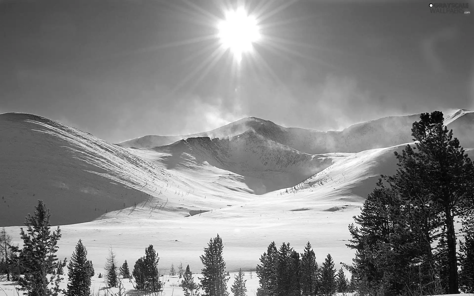 Mountains, trees, viewes, sun