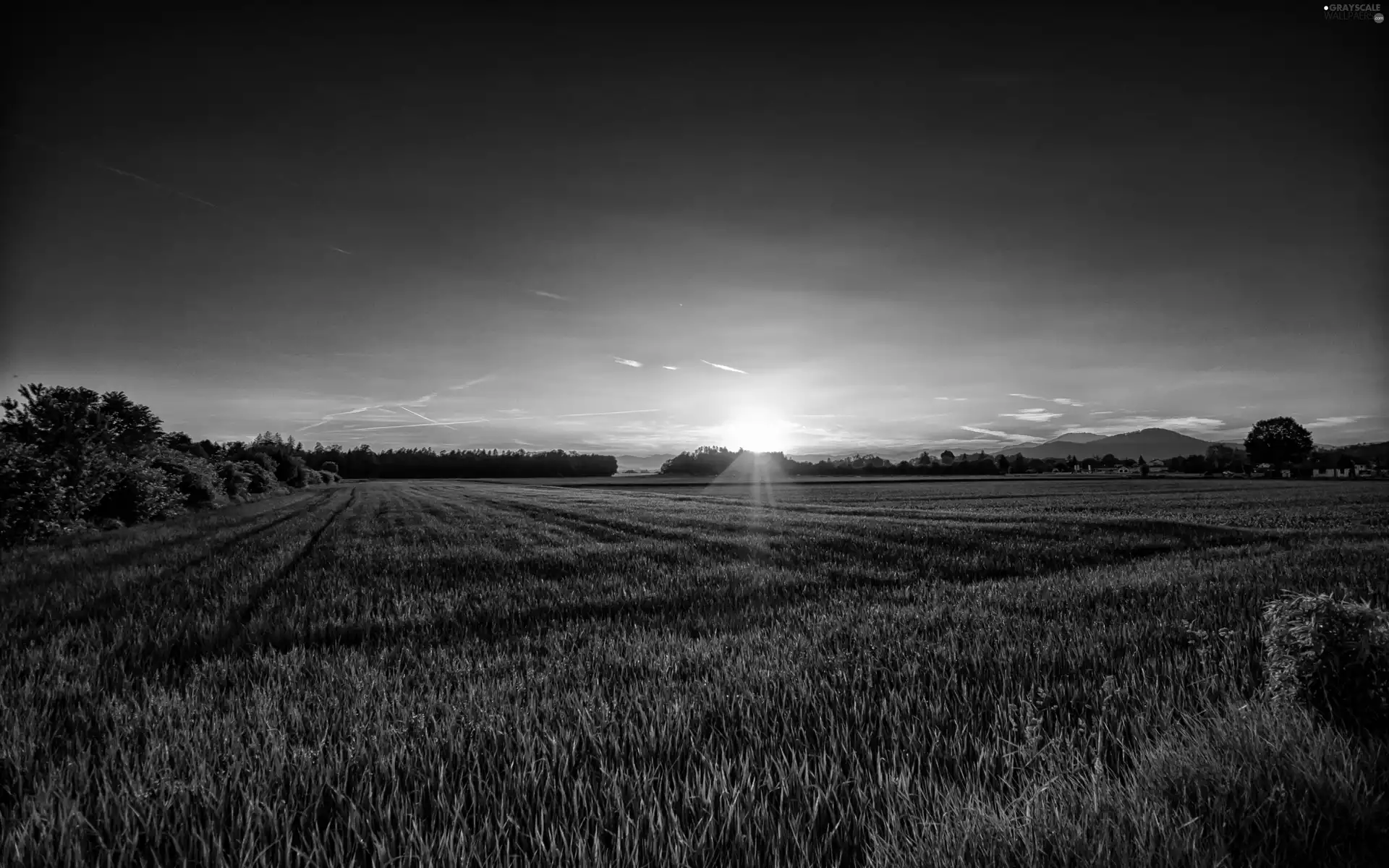 Field, Sunrise, viewes, Mountains, trees, Meadow