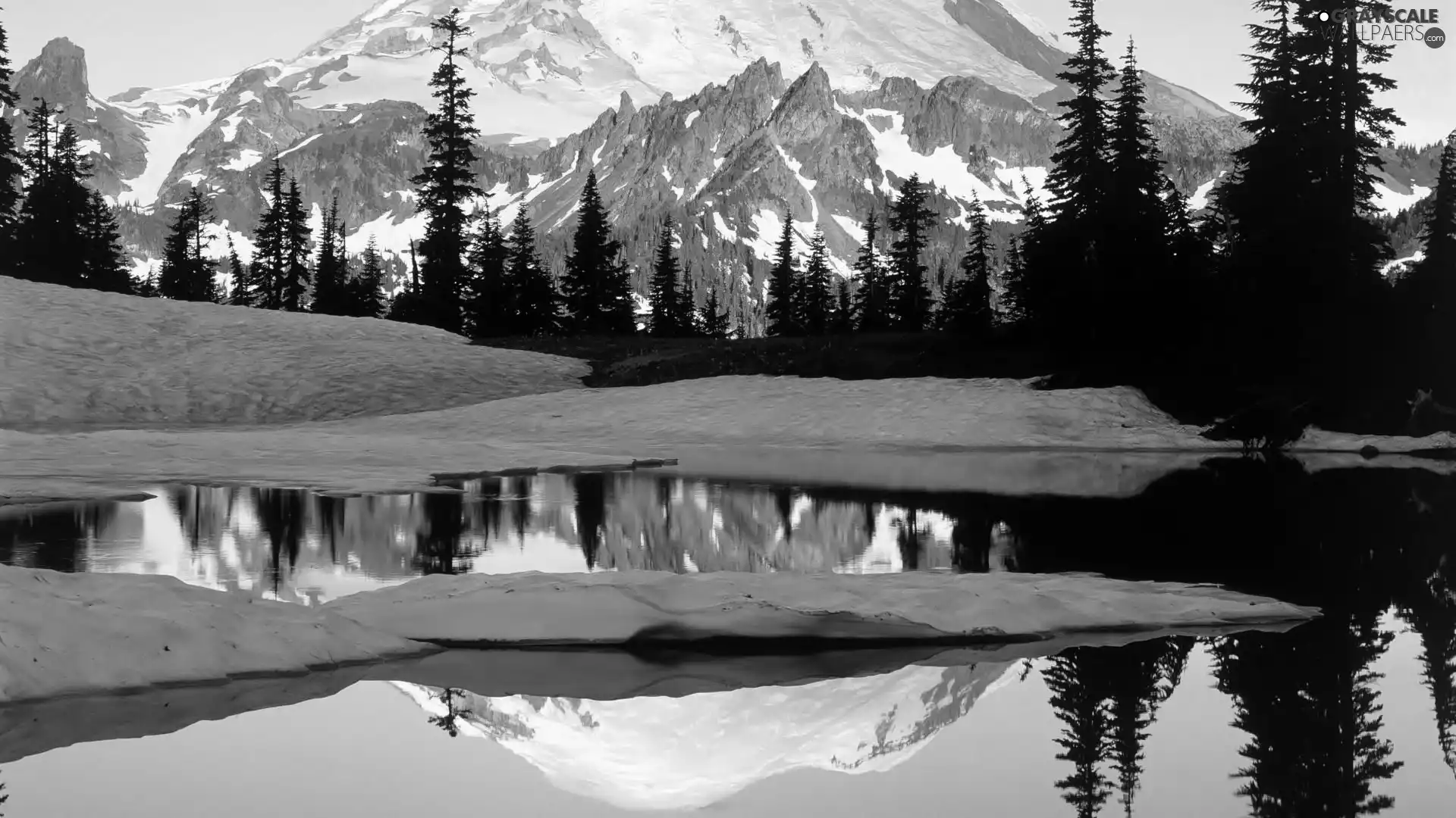 viewes, Mountains, snow, trees, water