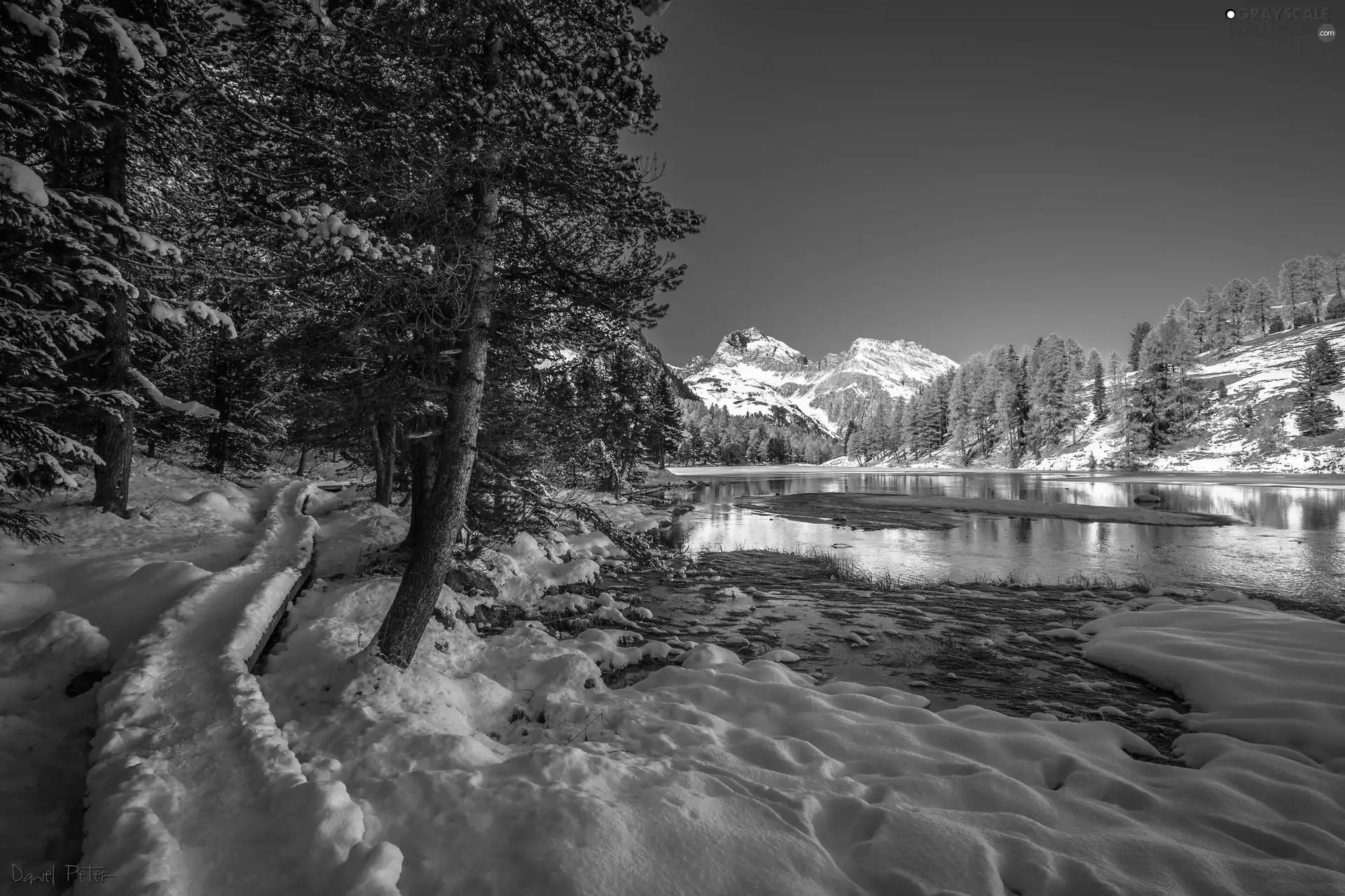 viewes, Mountains, River, trees, winter