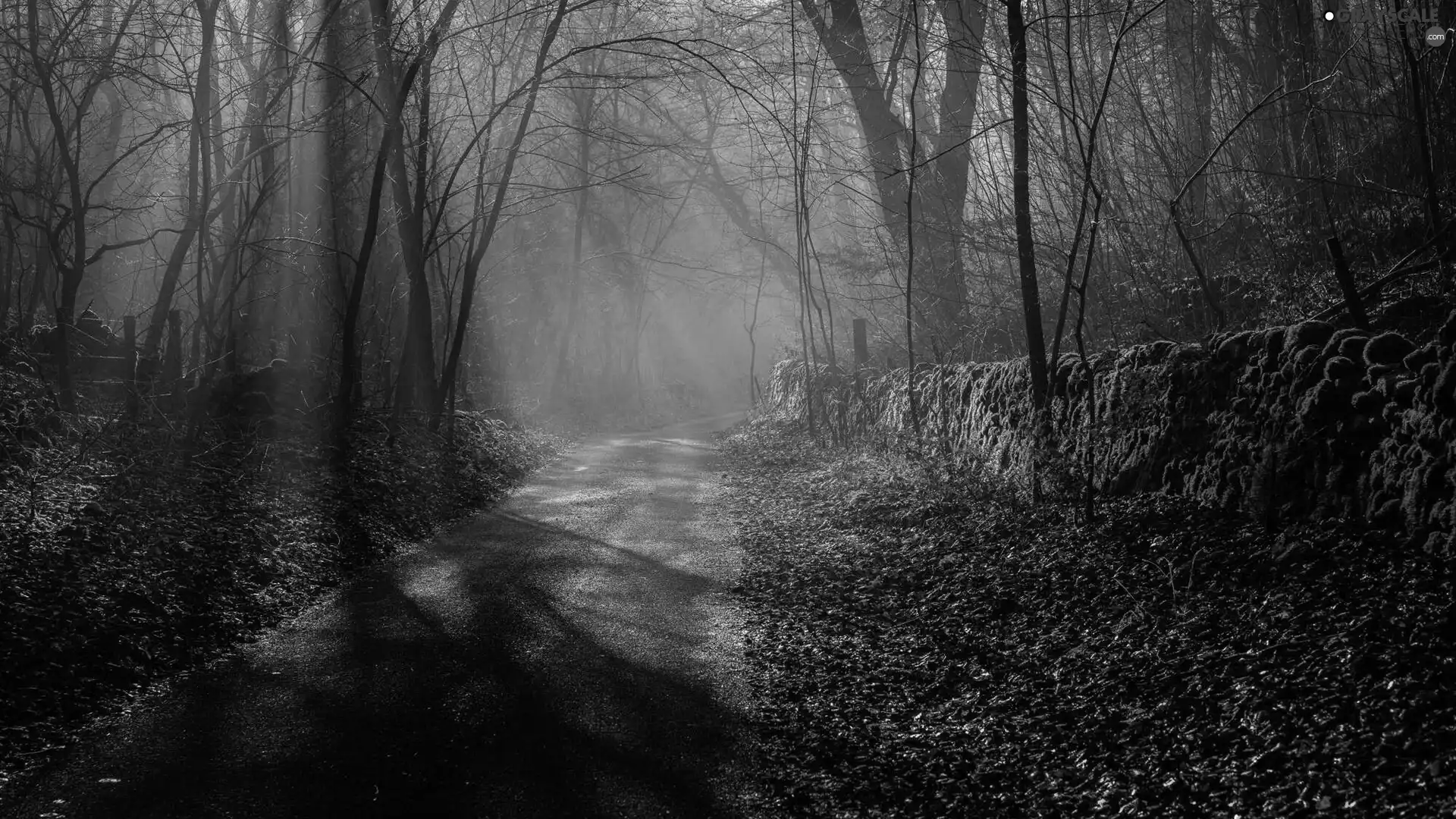 Peak District National Park, Way, light breaking through sky, trees, Fog, County Derbyshire, England, viewes