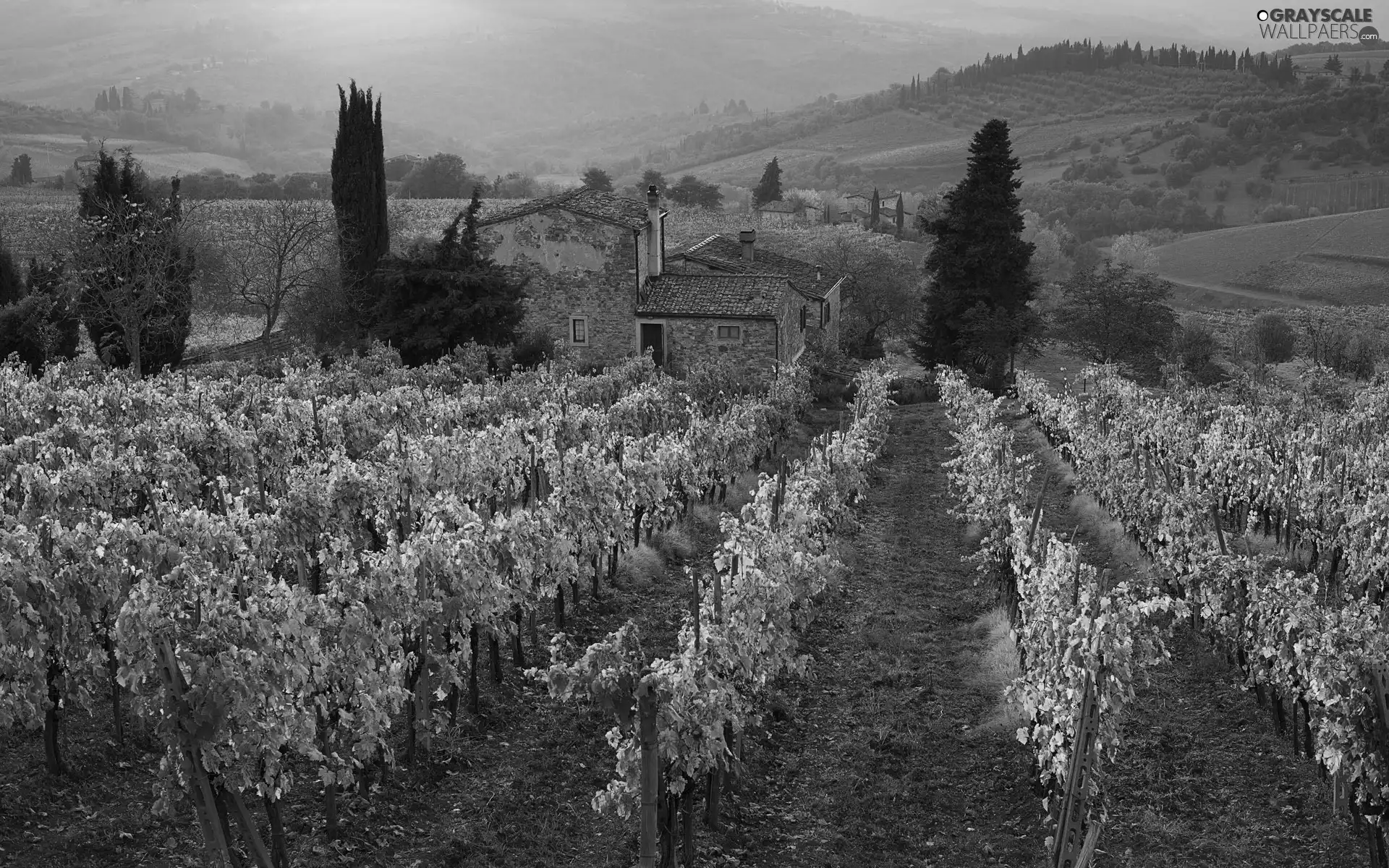 orchard, trees, viewes, homes