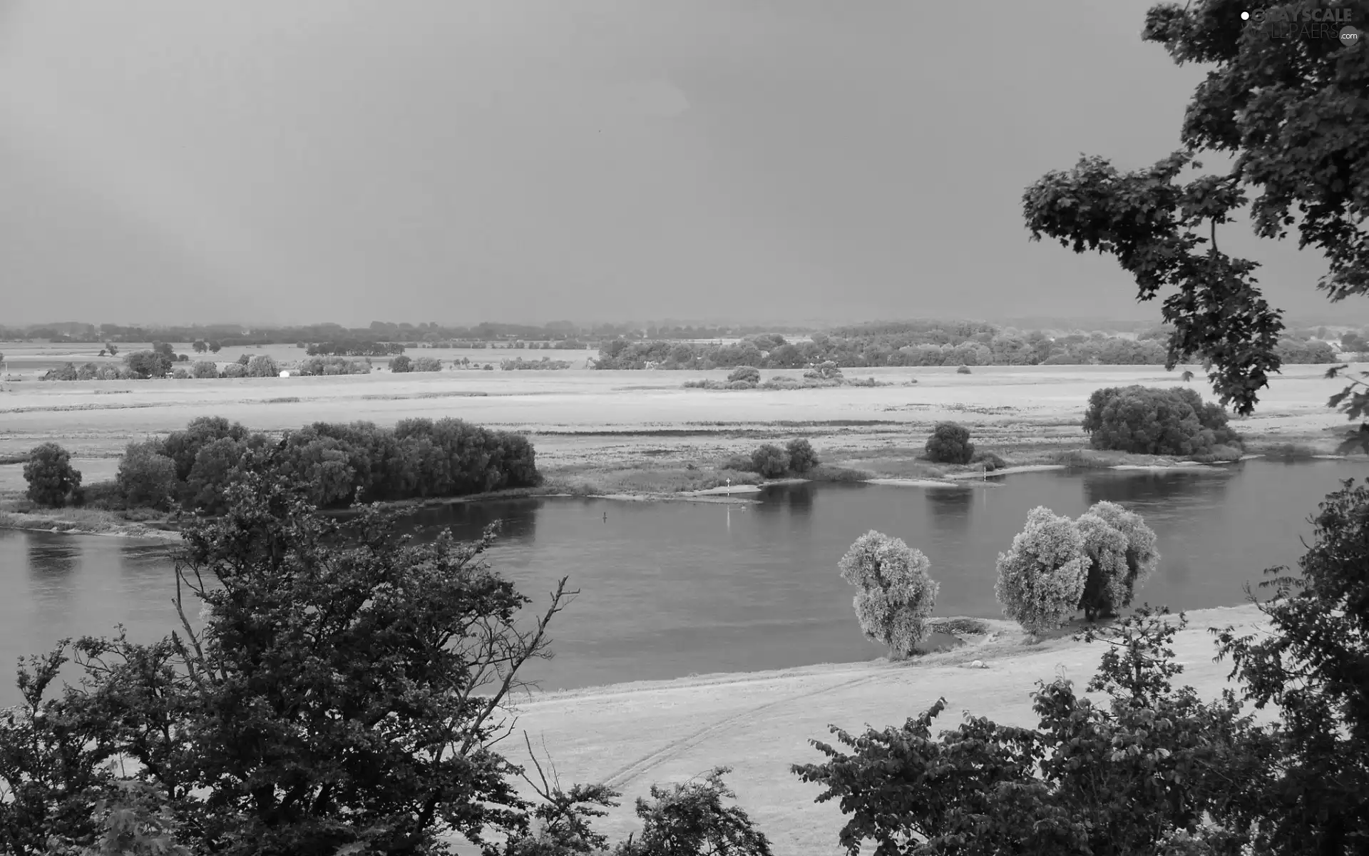 viewes, panorama, medows, trees, River