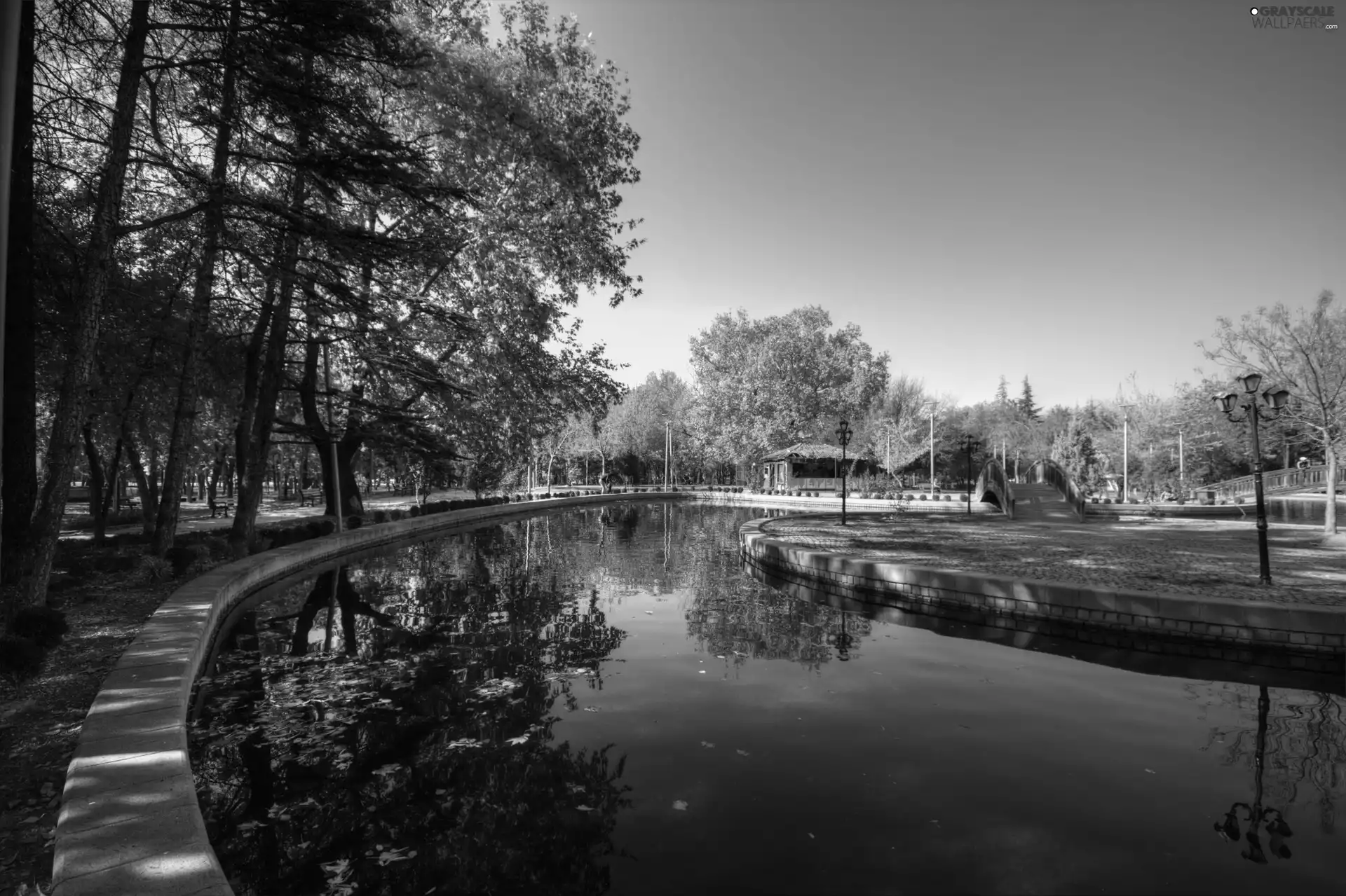 Park, trees, viewes, autumn