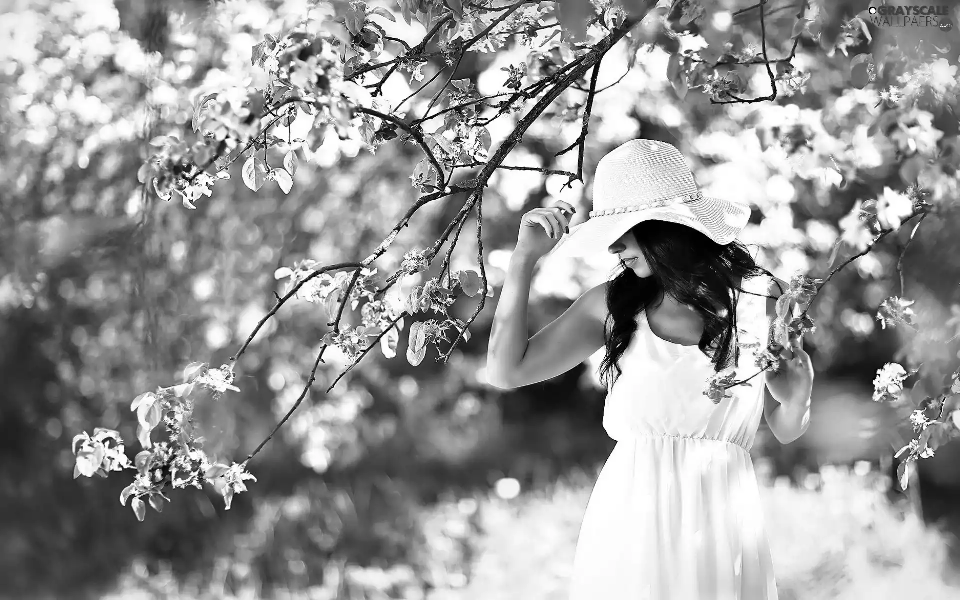 flourishing, girl, viewes, Park, trees, Hat
